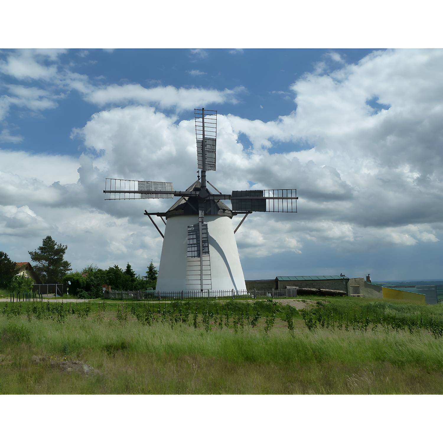 Imported image 762f2588d112 1646273.jpg