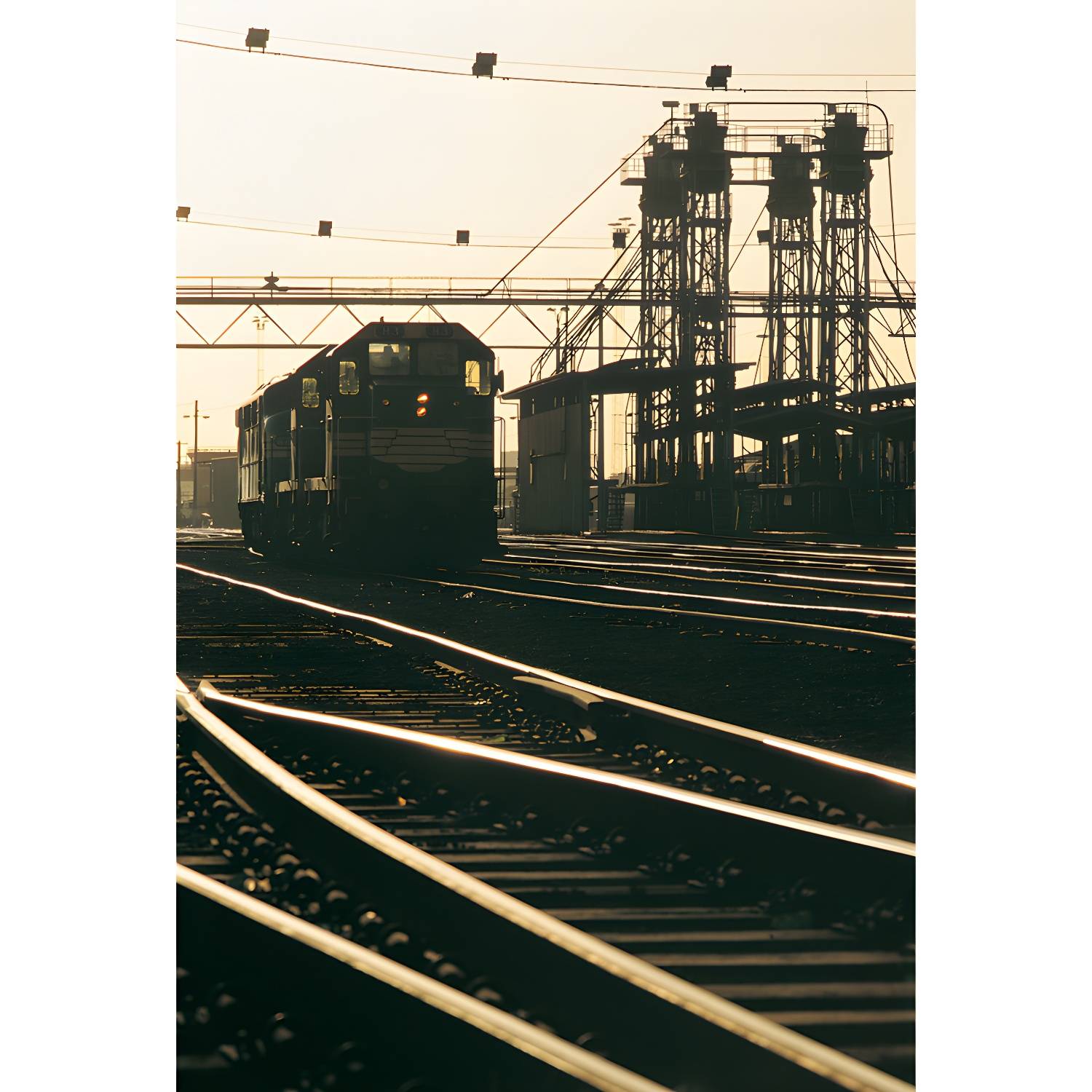 Imported image 01c81dfa6509 1646383.jpg