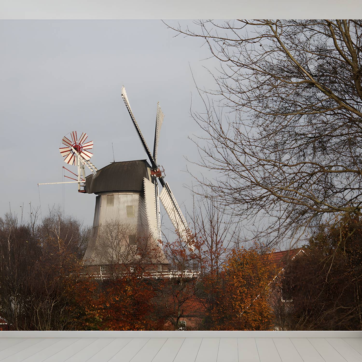 Imported image 715eb3bde126 1646422.jpg