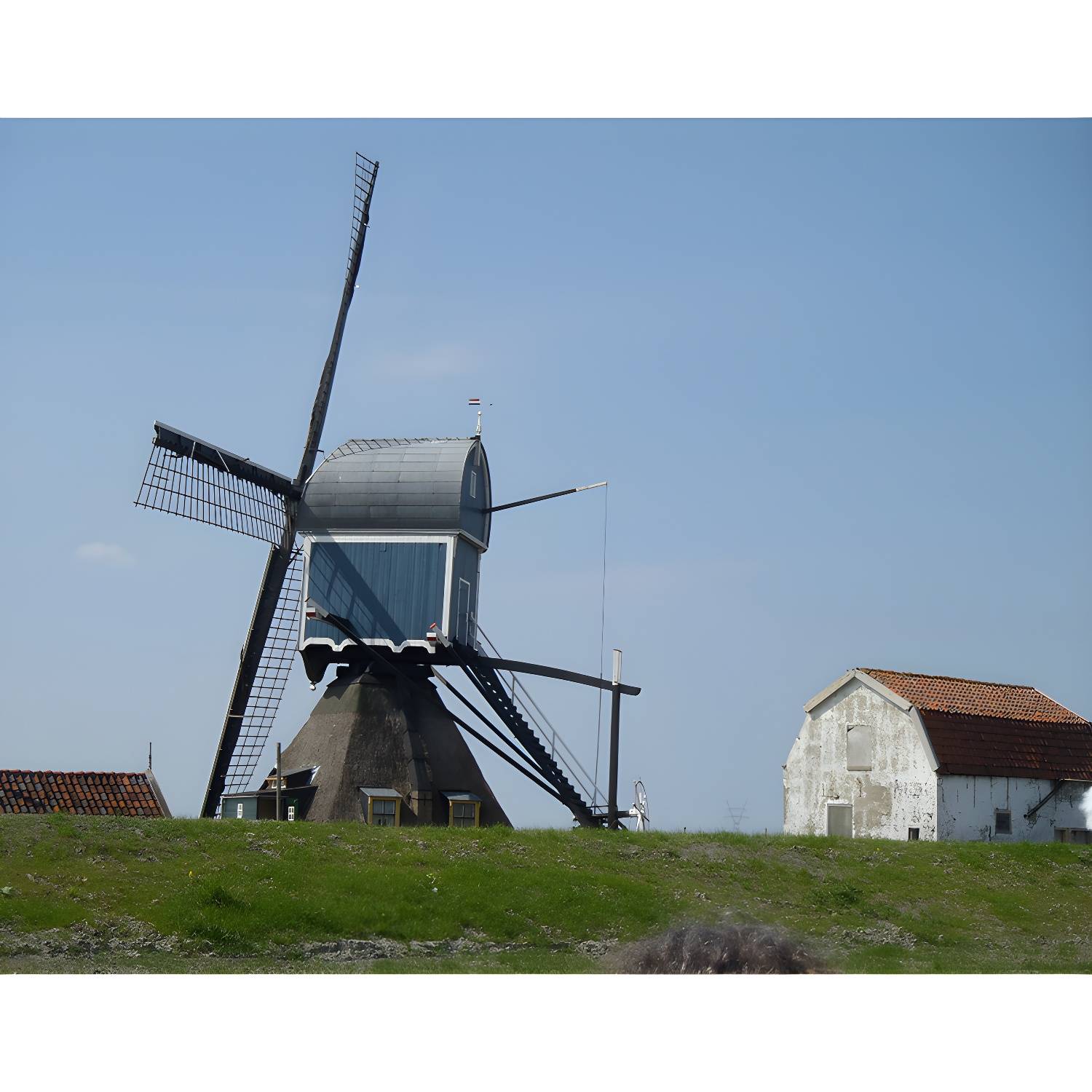 Imported image e481c6781e75 1646877.jpg