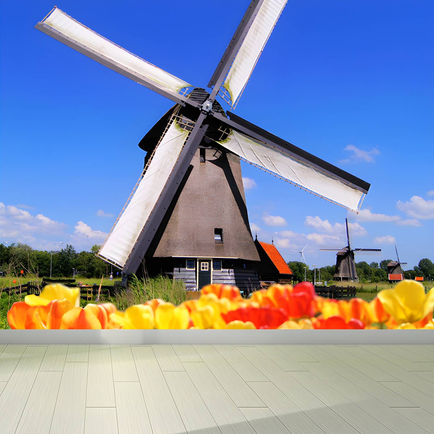 Imported image 79837b39e77f 1648189.jpg