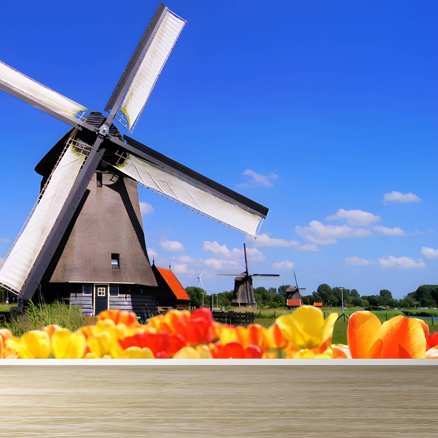 Imported image a8896c0cec75 1648190.jpg