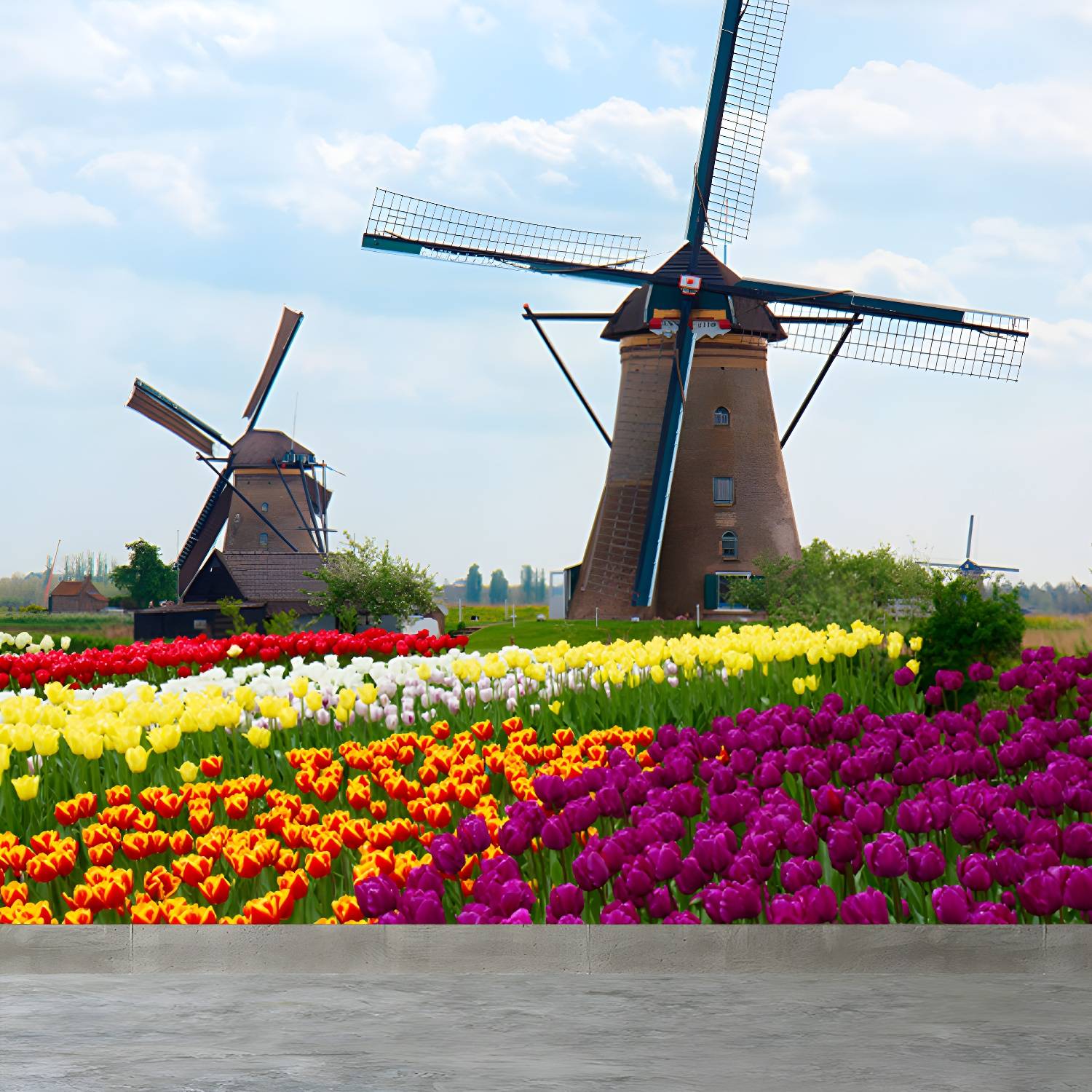 Imported image 74b989e0a6e5 1648194.jpg