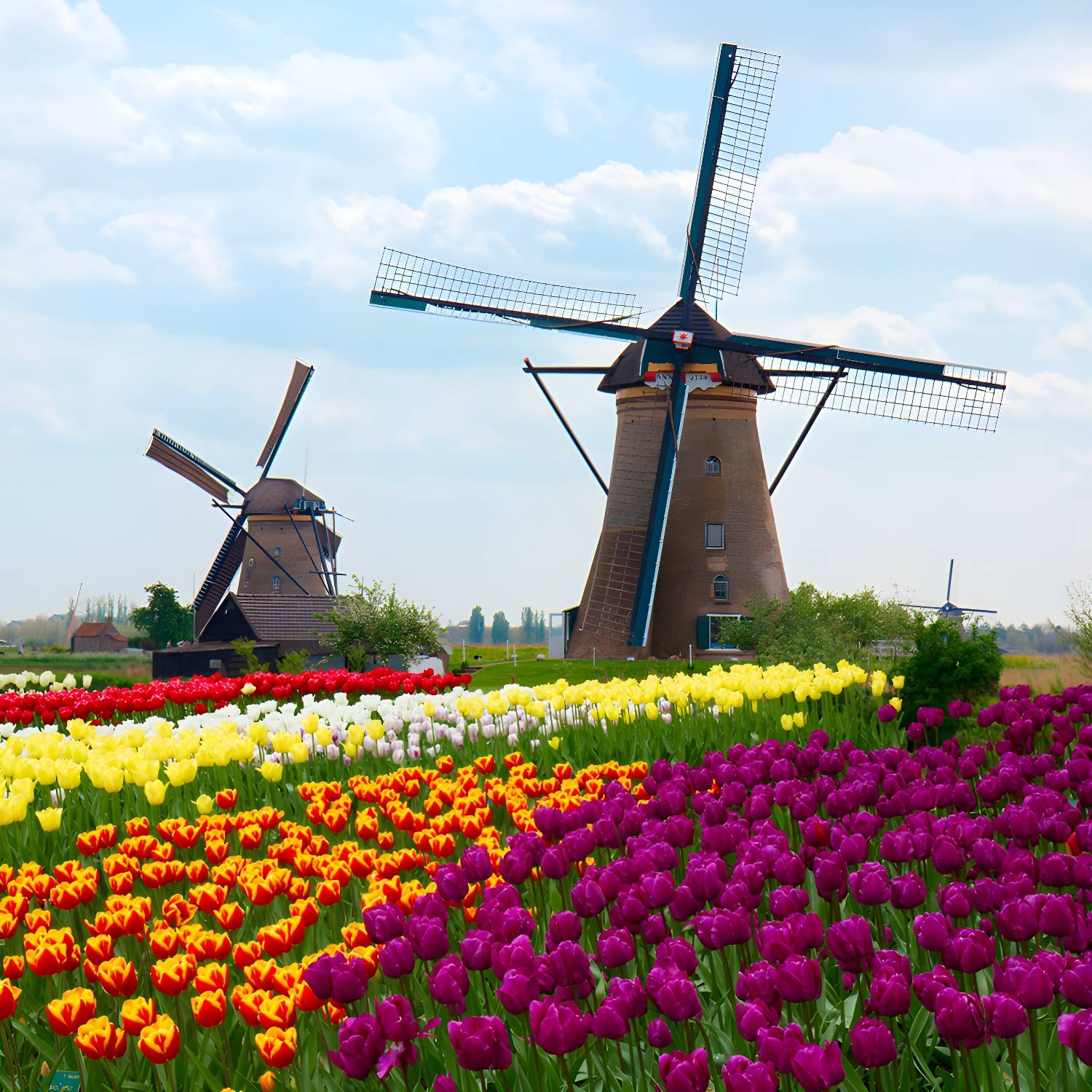 Imported image 75ea5bdfa1b0 1648196.jpg