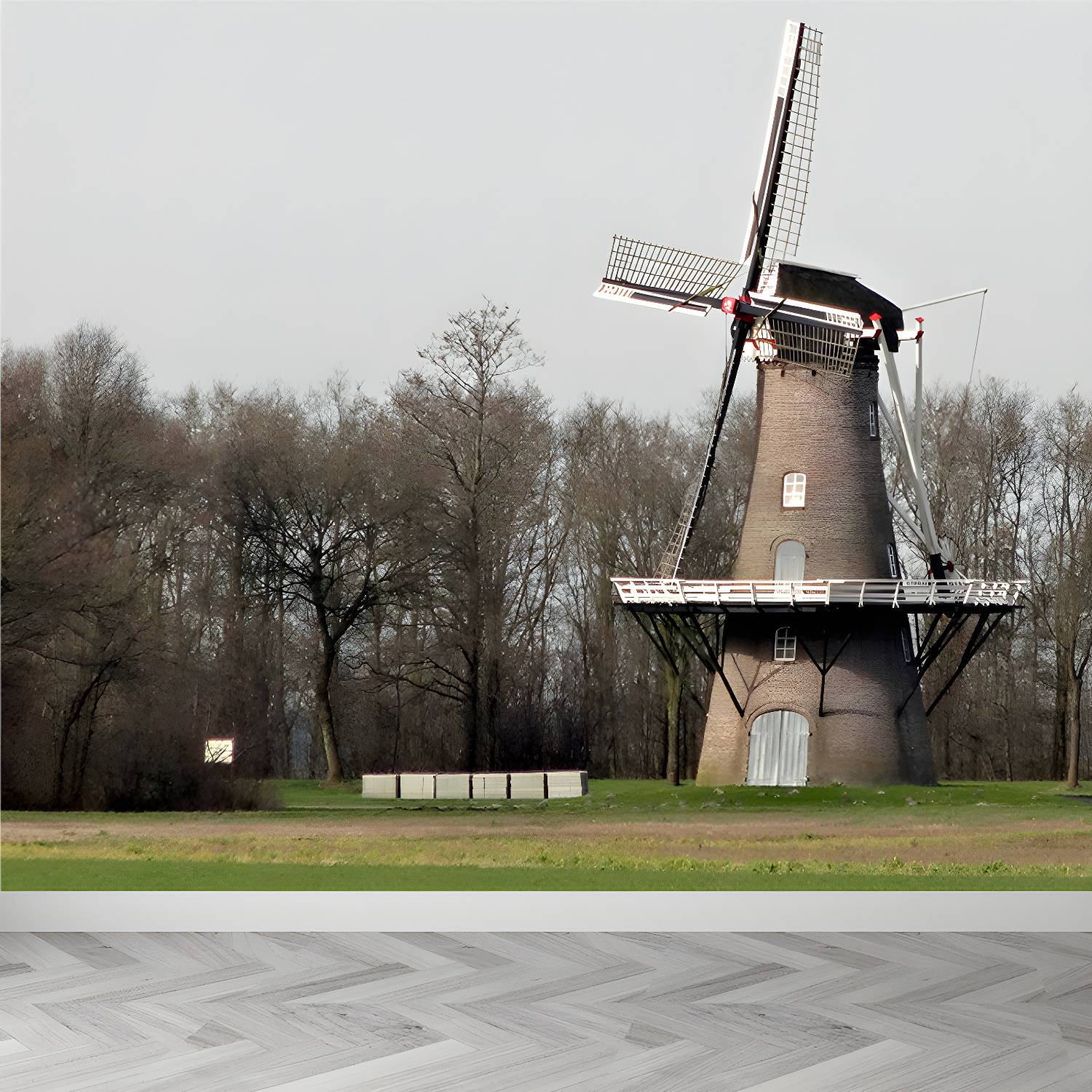 Imported image 78031746f02e 1648209.jpg