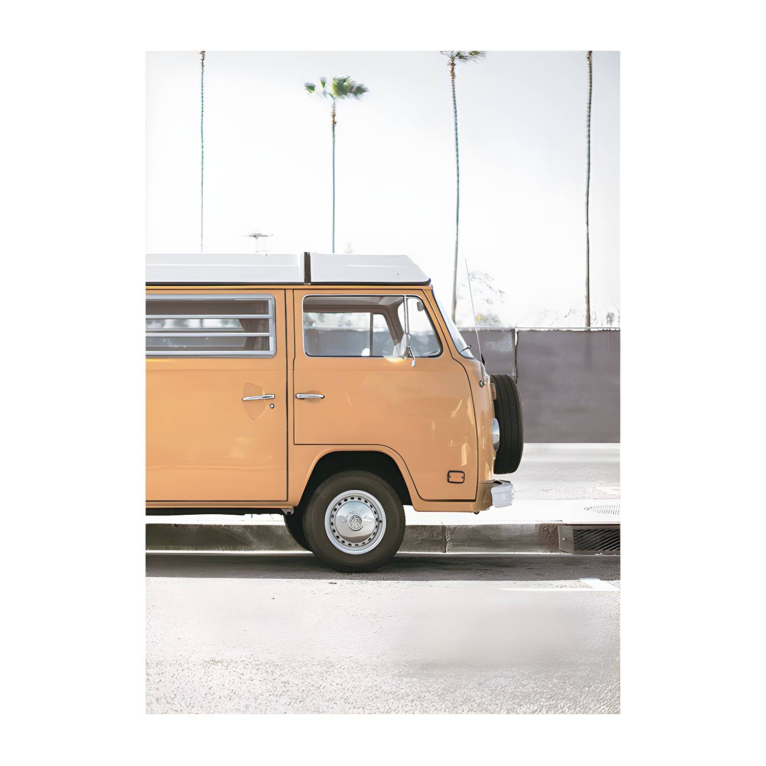 Imported image d84c75931493 1657017.jpg