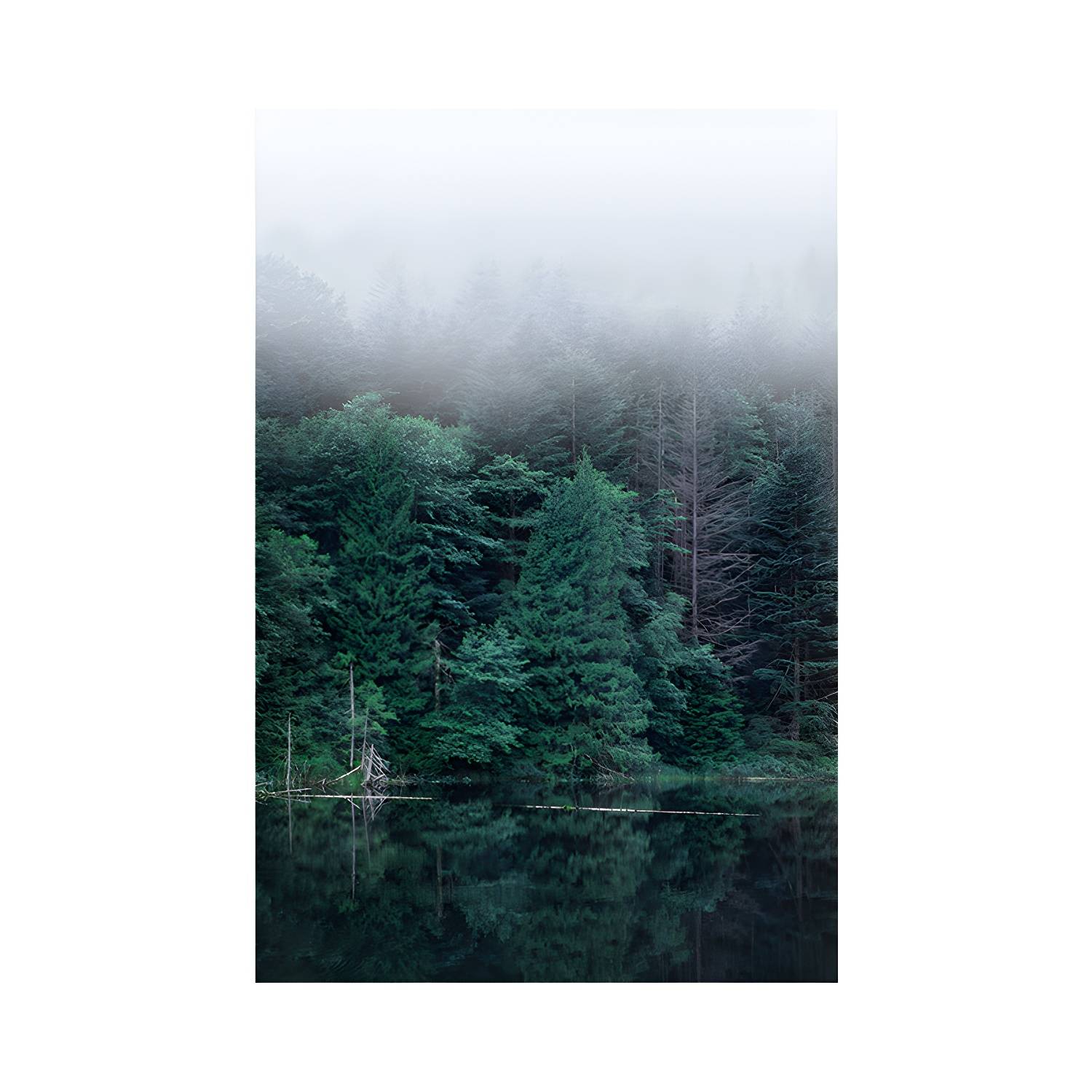 Imported image f29841155c84 1658247.jpg
