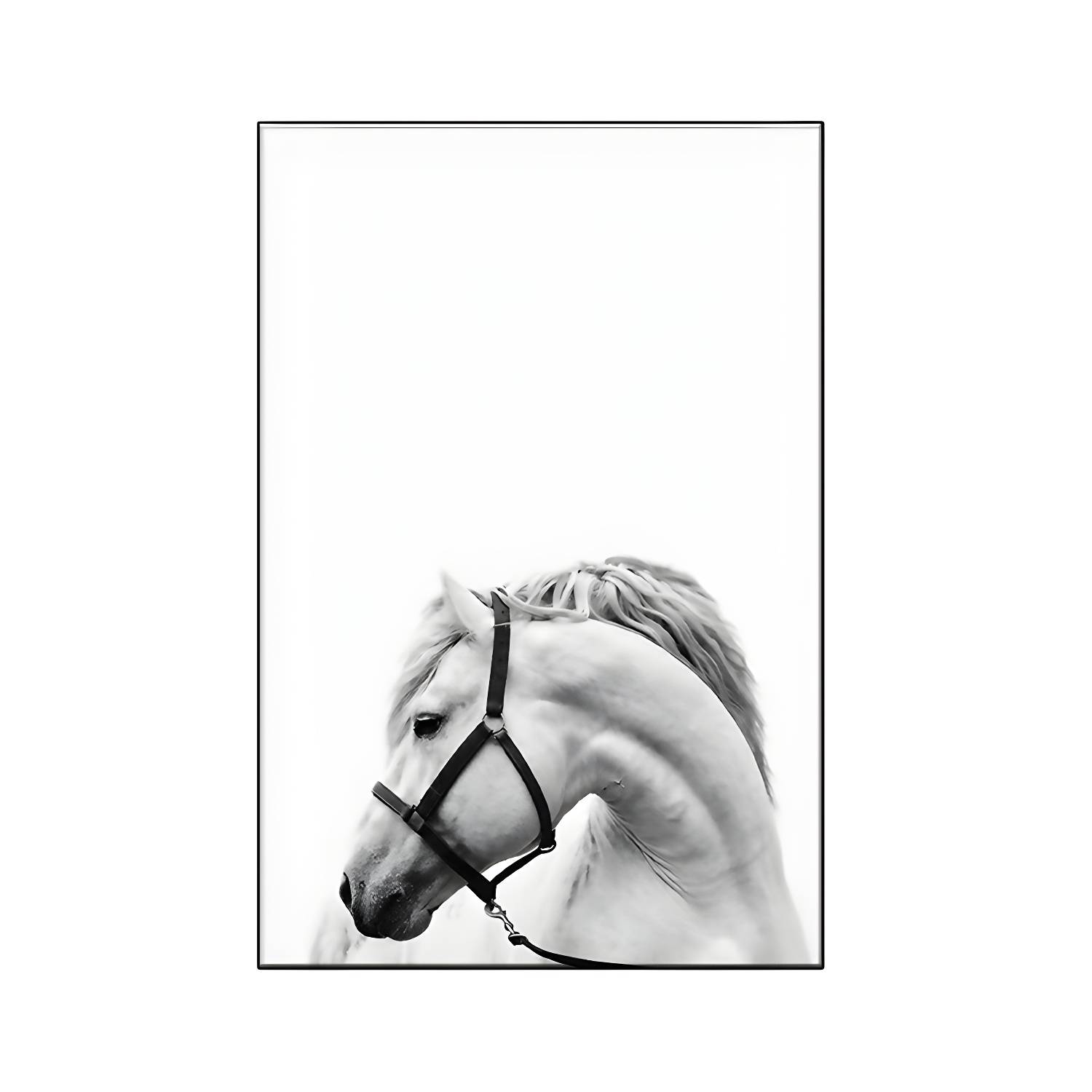 Imported image faf56ffa6428 1659980.jpg