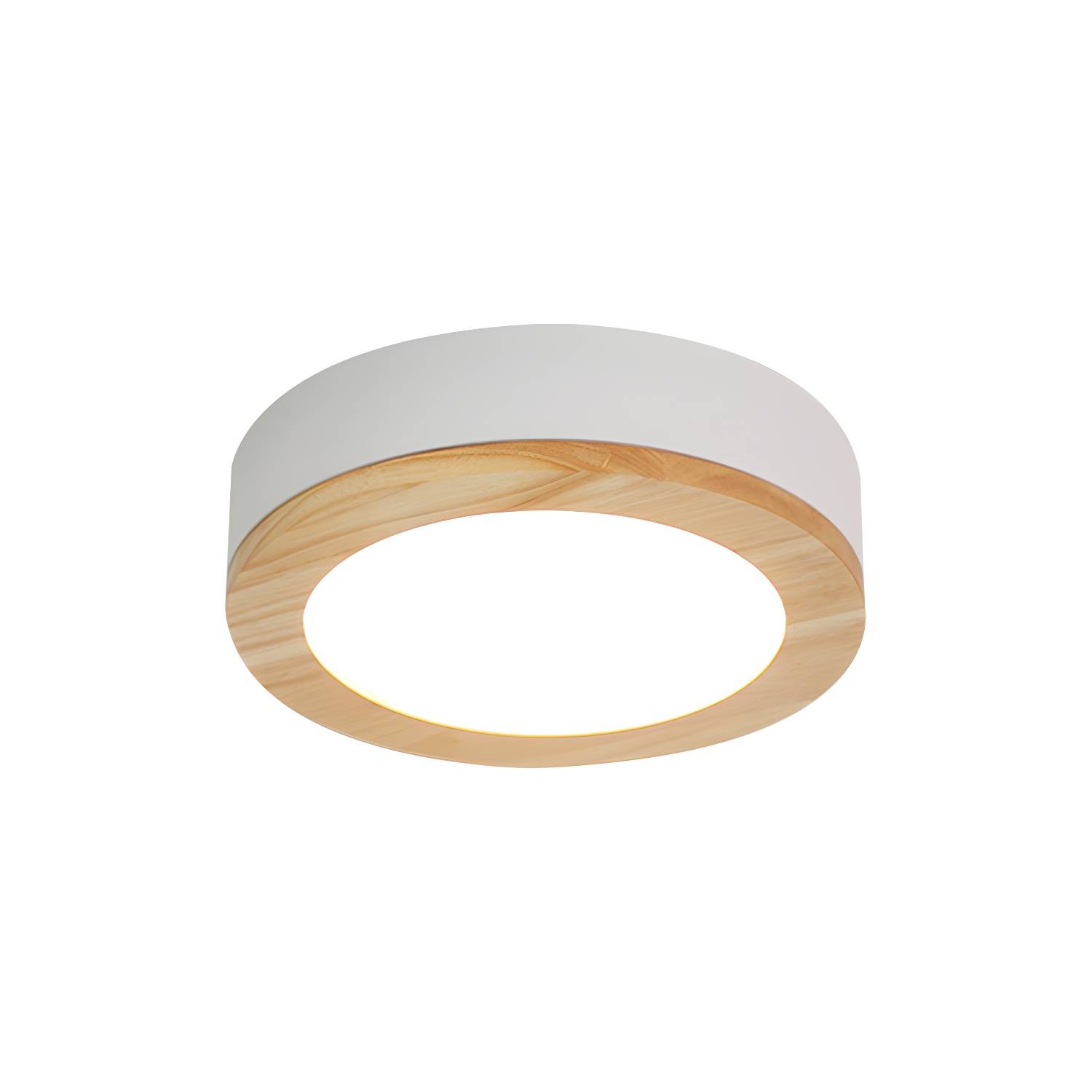 Imported image 6f6dcbd3ad8b 169242.jpg