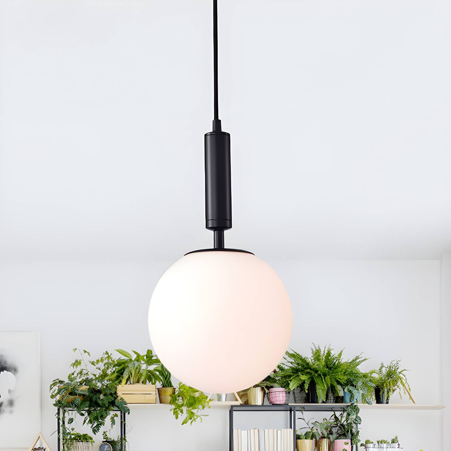 Imported image d9df76e3786a 1694811.jpg