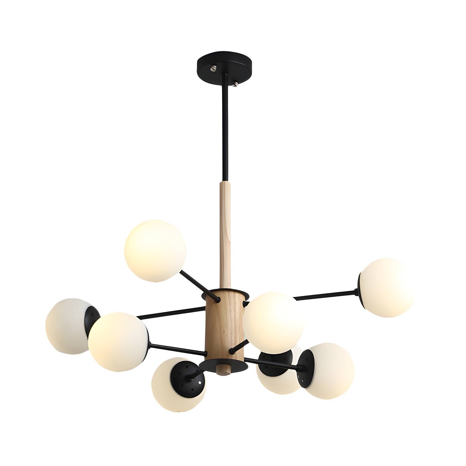 Imported image f978ef6fe52e 169519.jpg