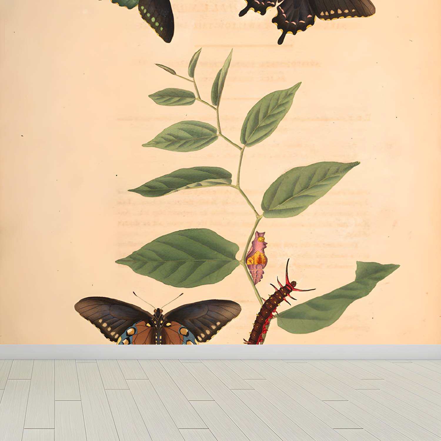 Imported image 7b40fcff5033 1696484.jpg