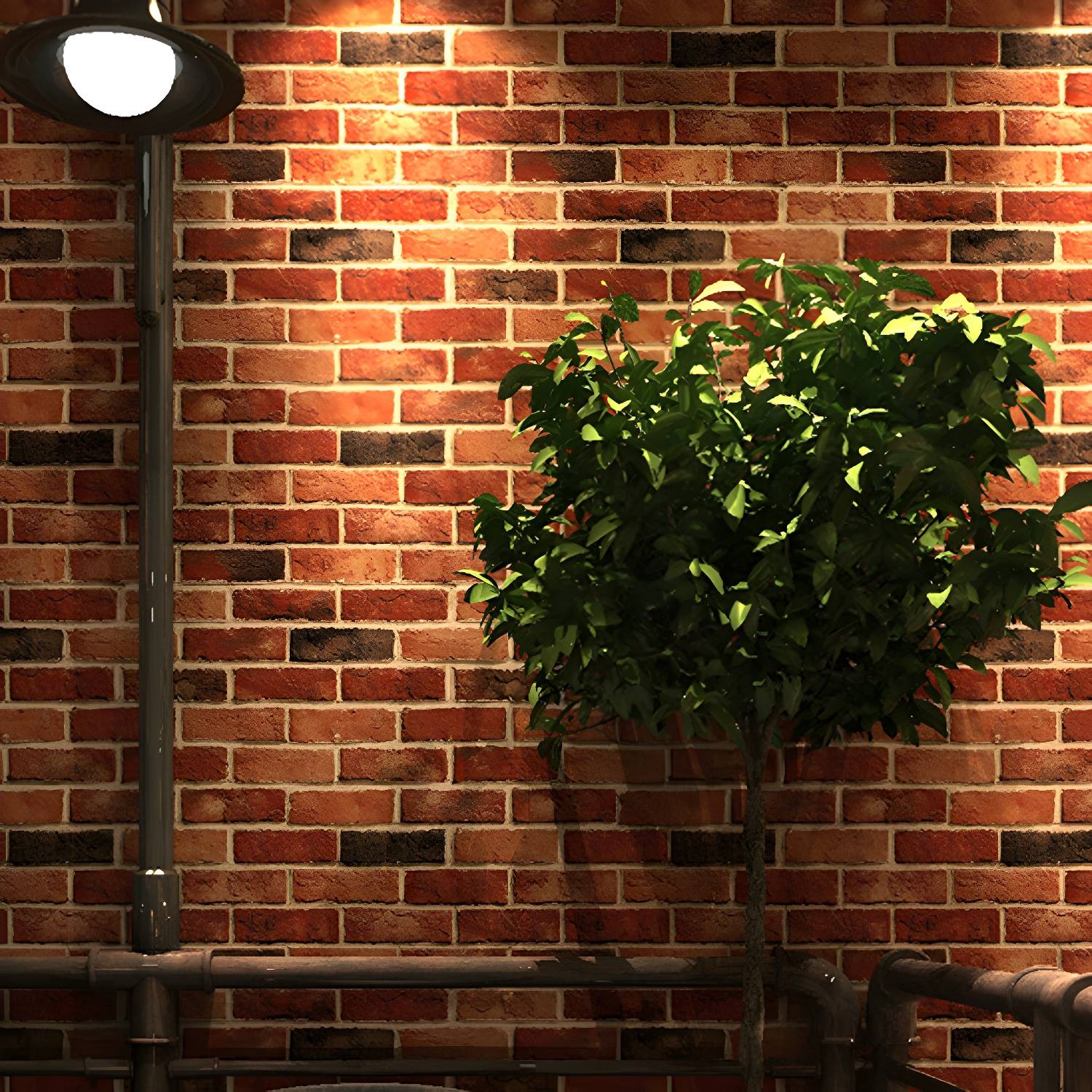Imported image 335fec3bab80 1696505.jpg