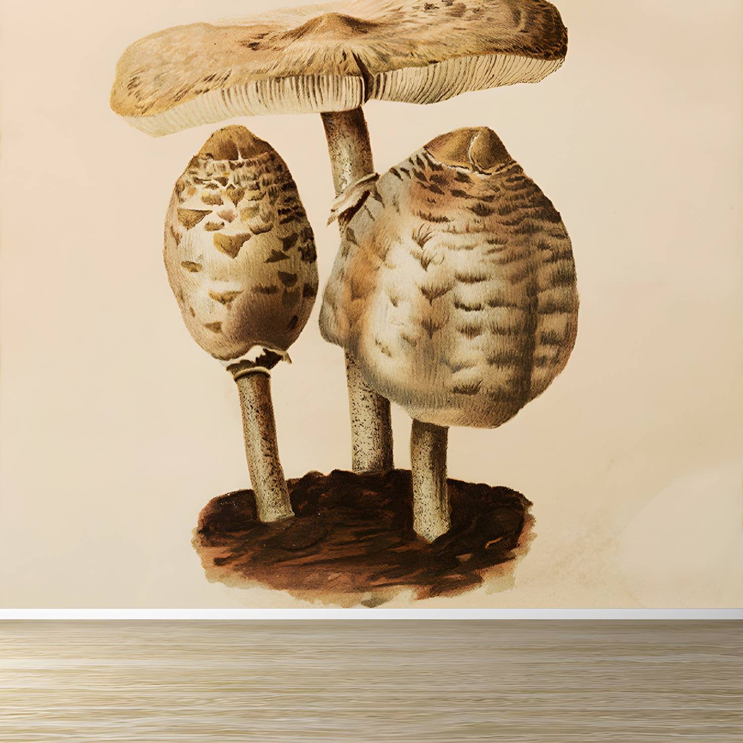 Imported image b91f33b1c1bb 1697219.jpg
