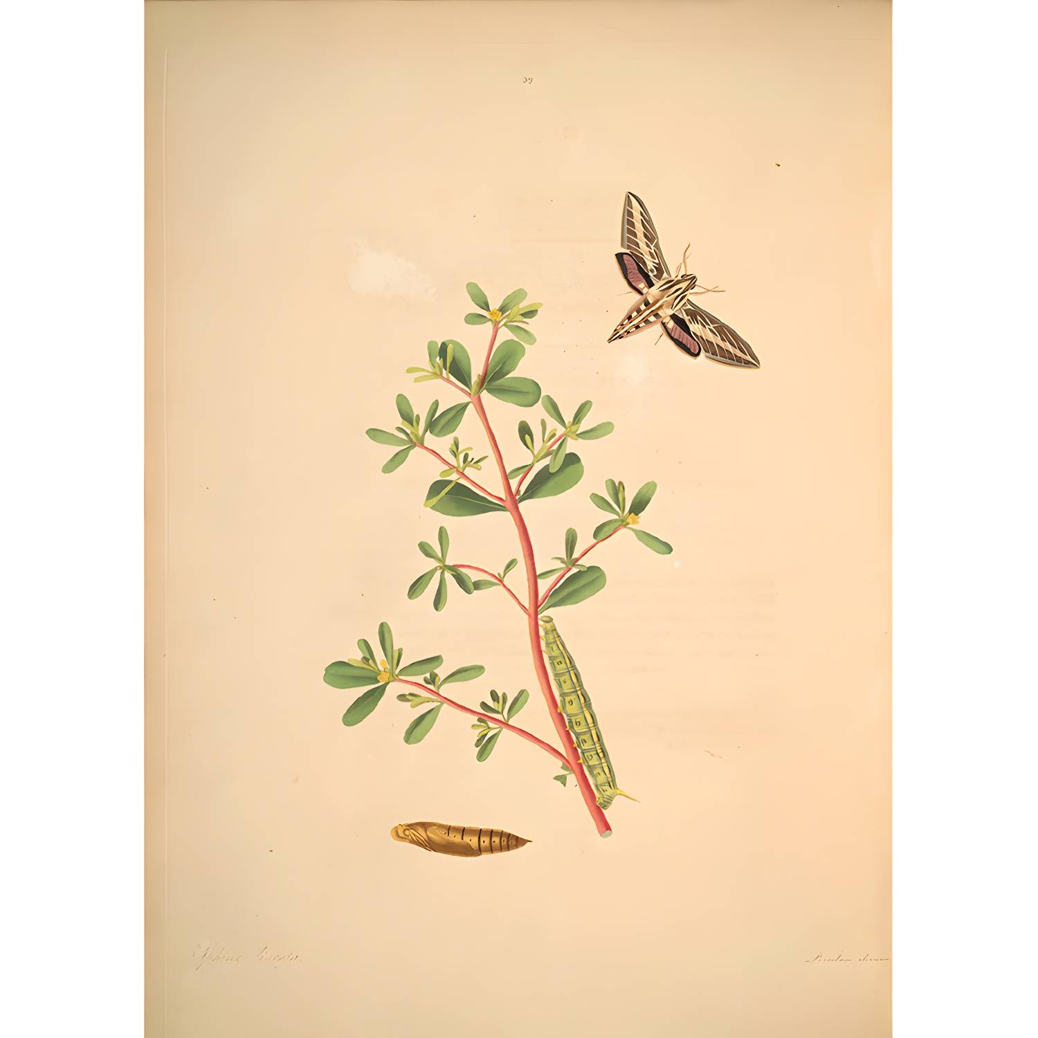 Imported image afaf124ab257 1699509.jpg