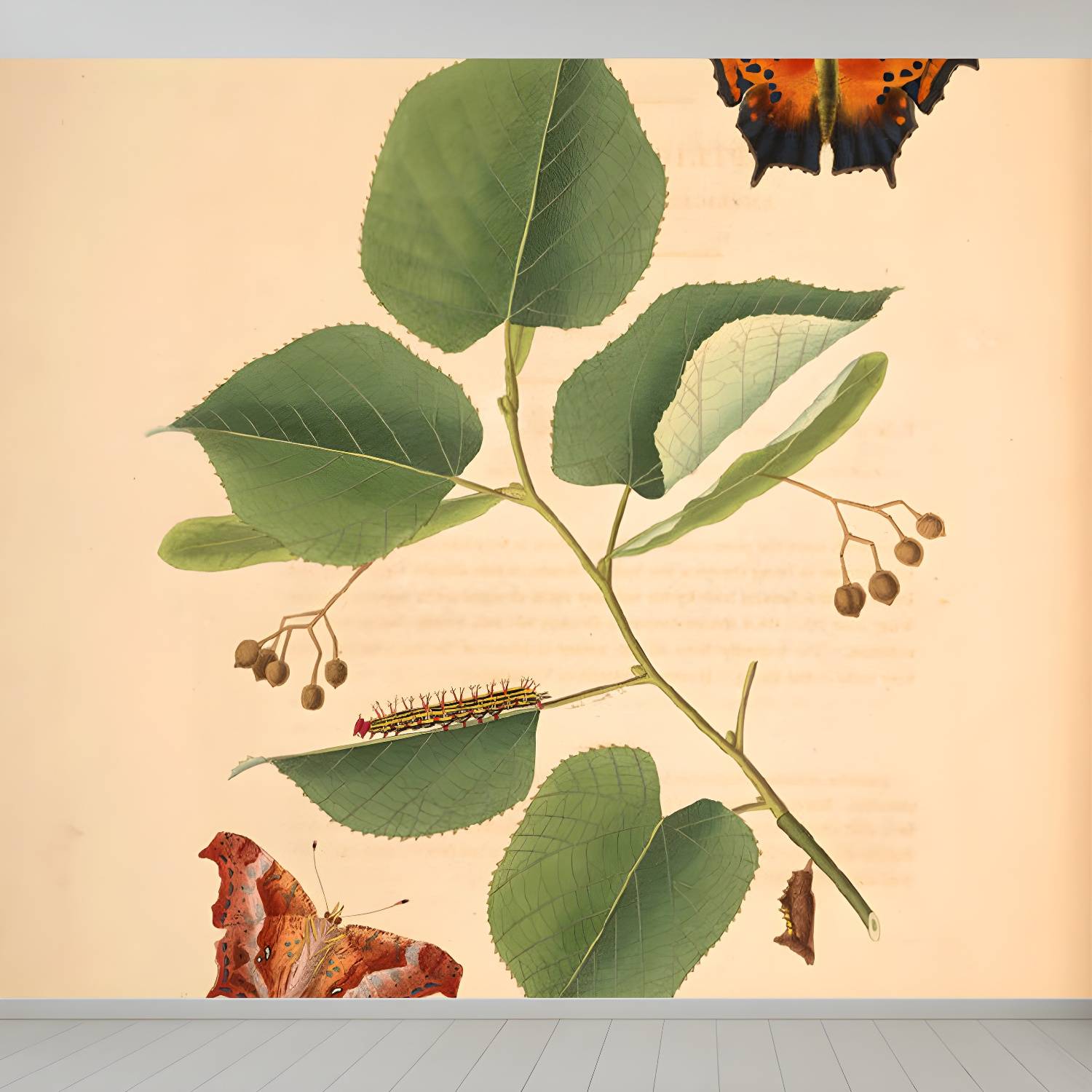Imported image 590f2ec92da4 1699517.jpg