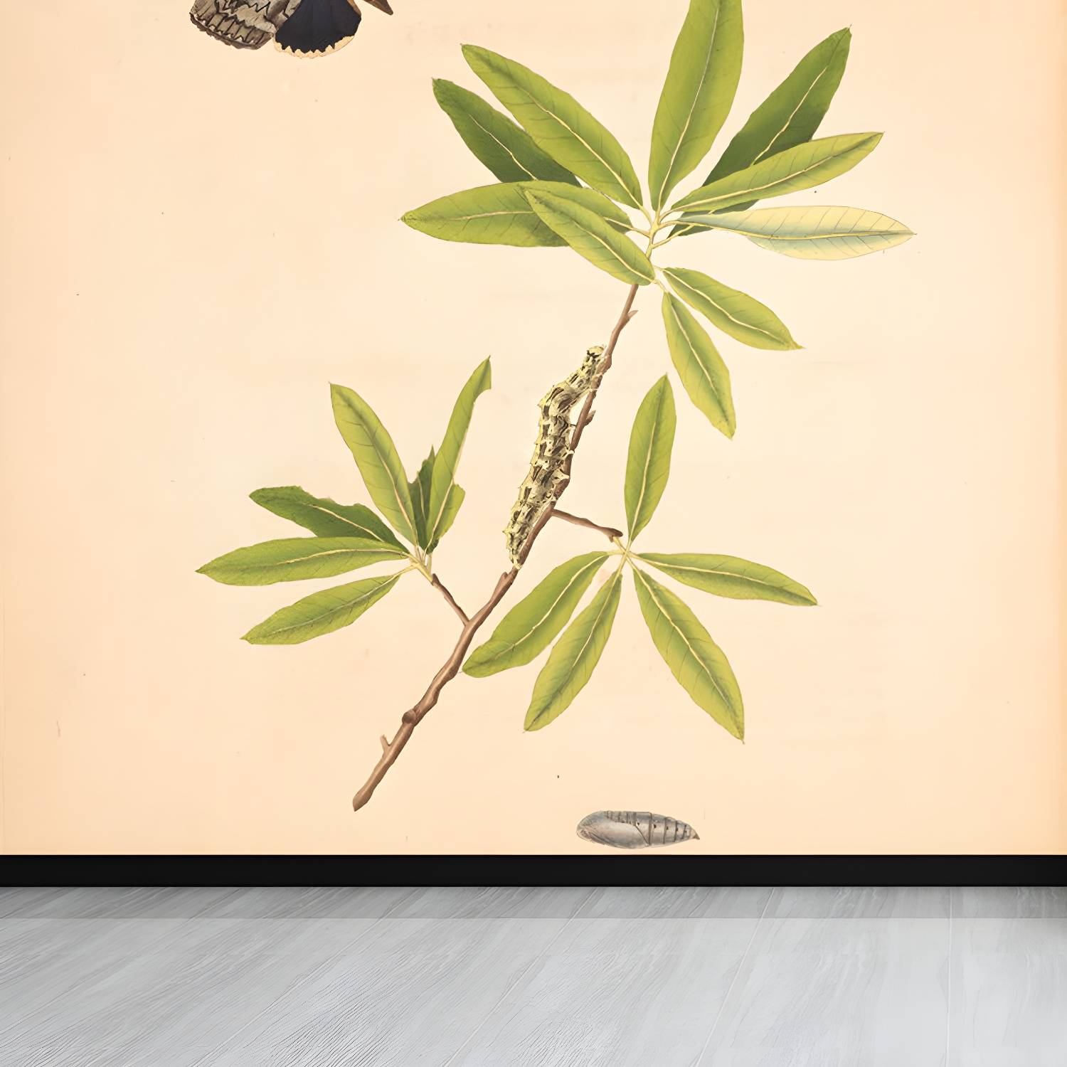 Imported image 719c1b49ff0d 1699533.jpg