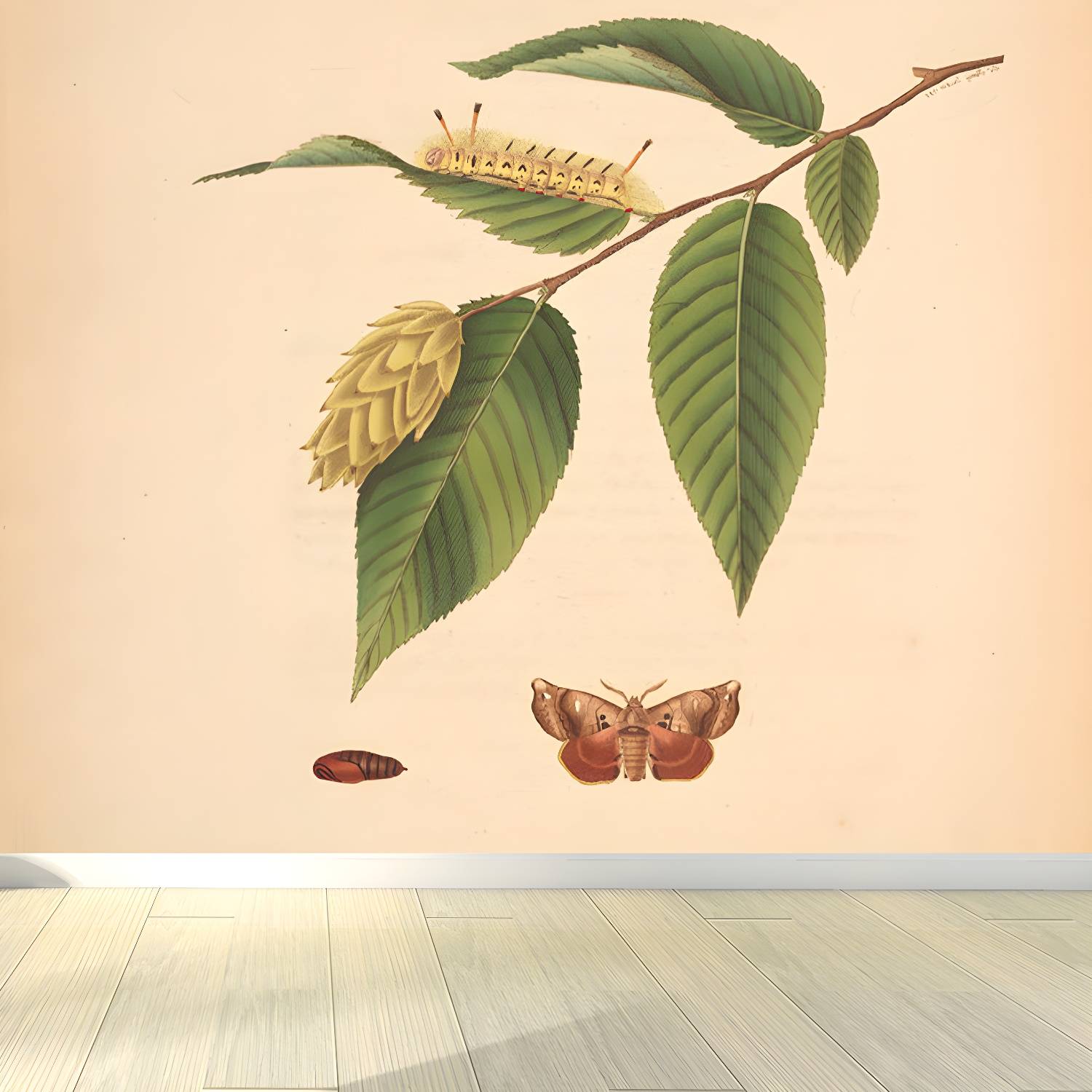 Imported image 121b7034632c 1699541.jpg