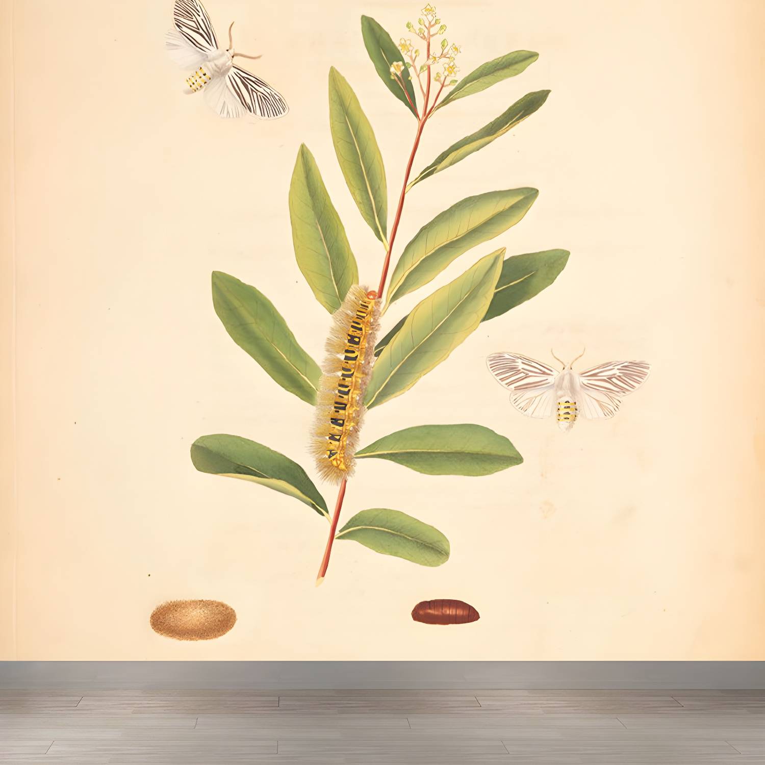 Imported image ca9ab4bb934b 1699556.jpg