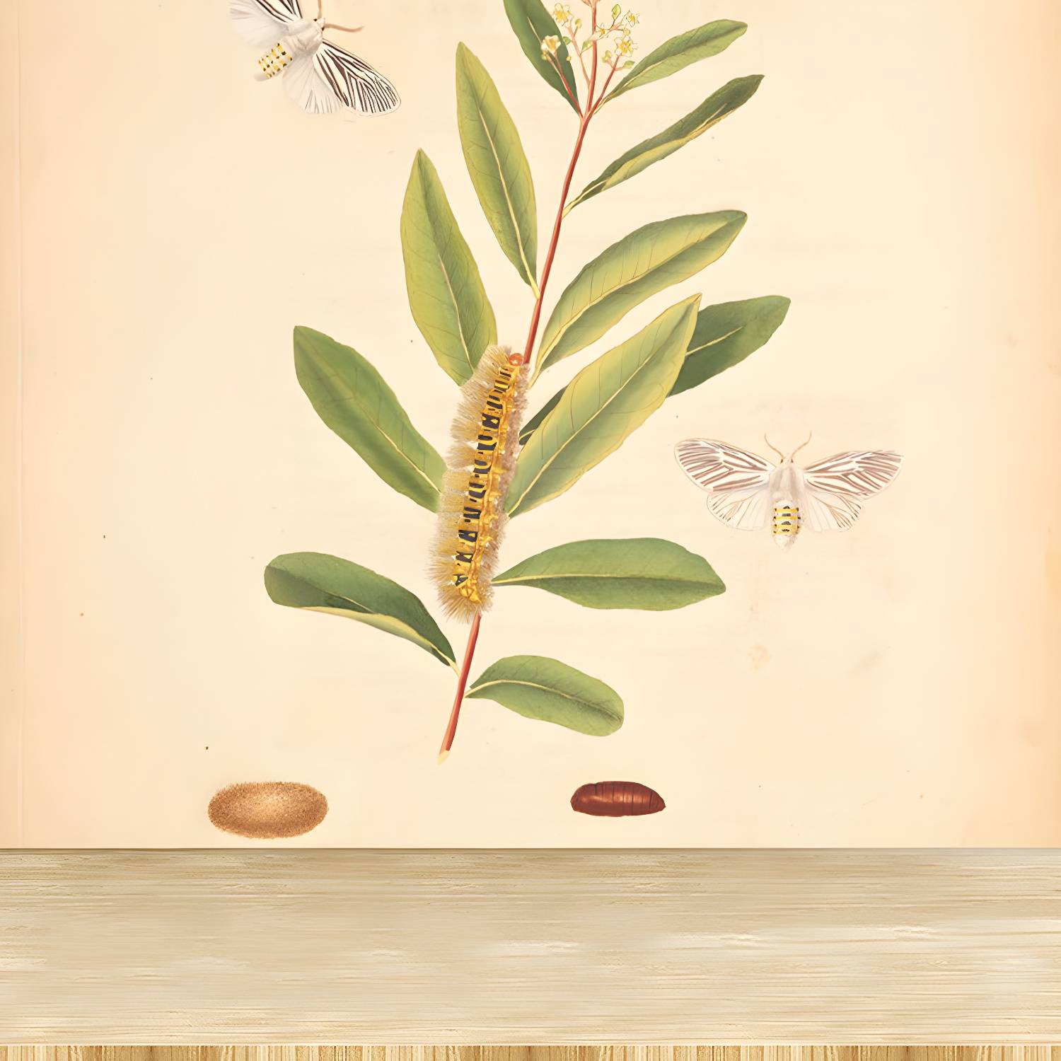 Imported image 2bf68d8c2593 1699557.jpg