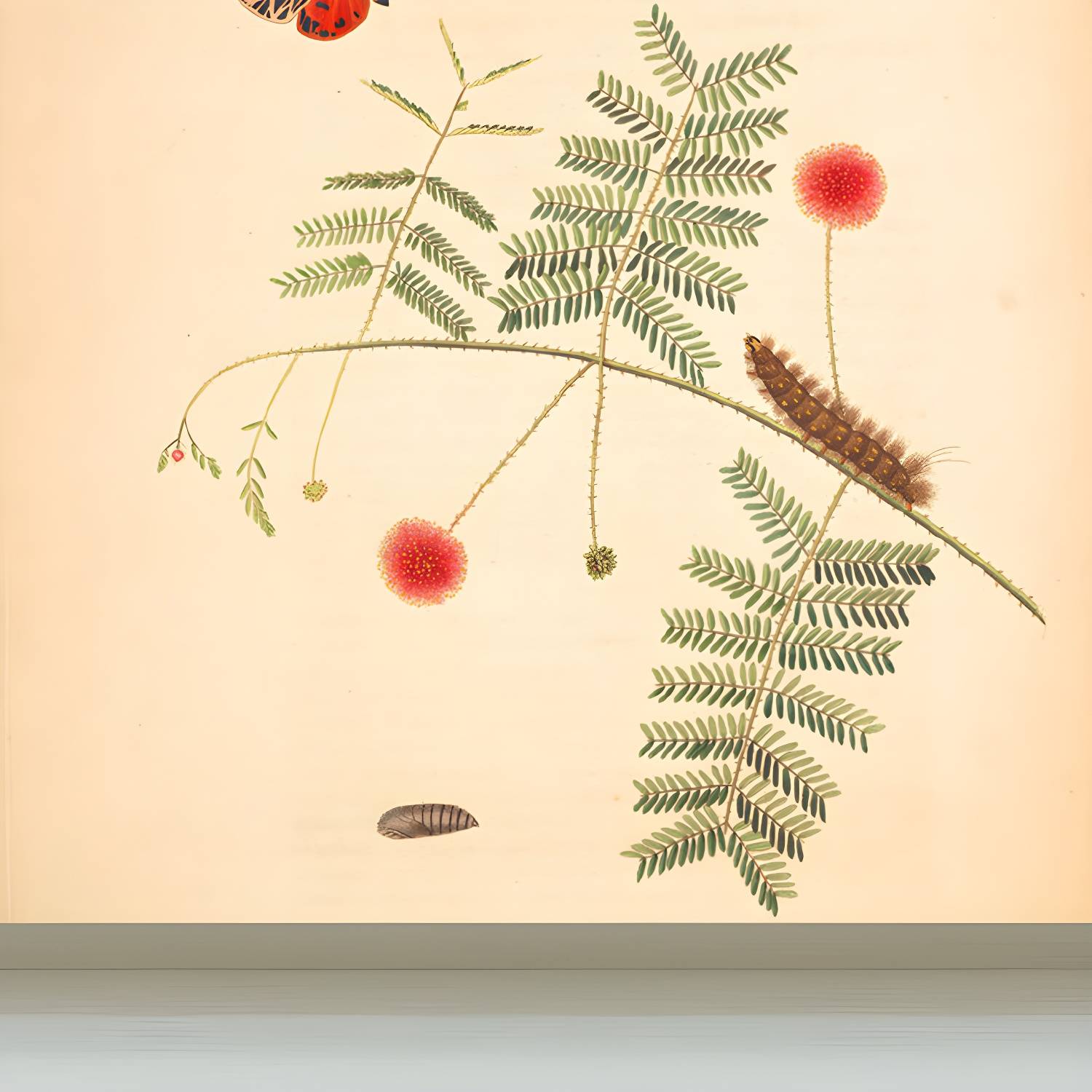 Imported image 4bb6c2bfebac 1699561.jpg