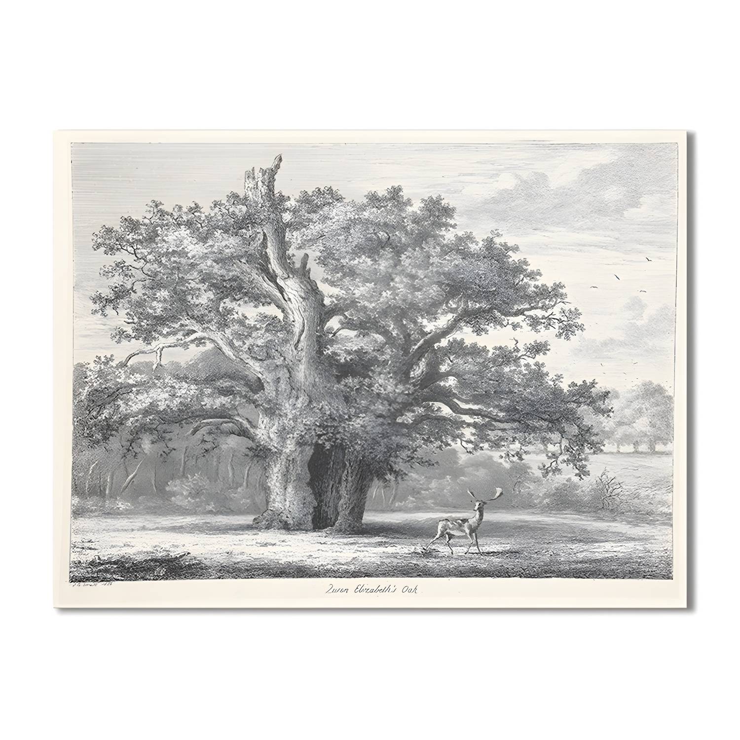 Imported image 3e99a18e70ea 1704787.jpg