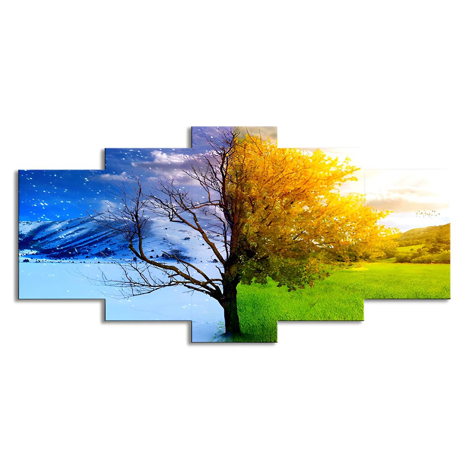 Imported image e17c203a4079 1706791.jpg