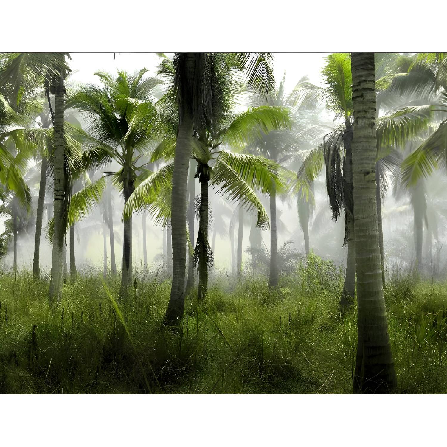 Imported image cb64f60ea0fd 1714322.jpg