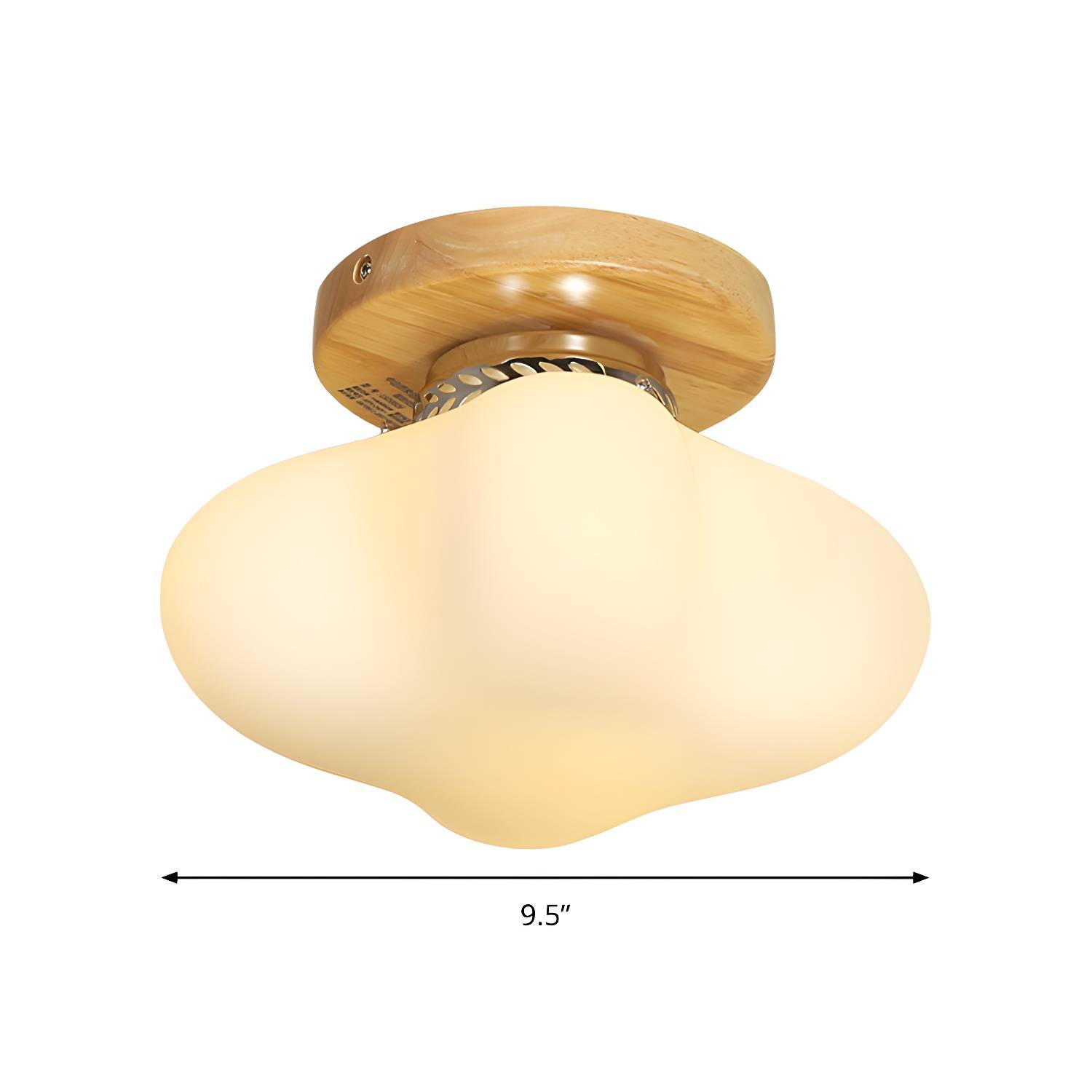 Imported image 886867c55da8 171839.jpg