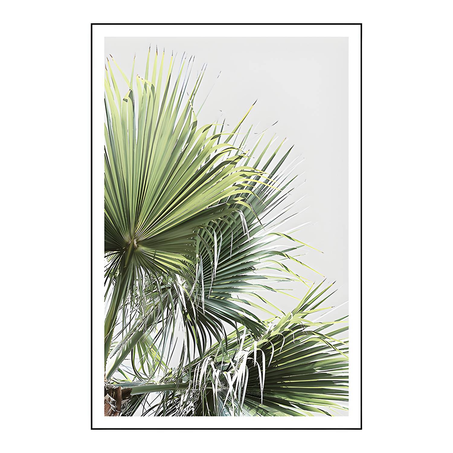 Imported image d02b7f1aa442 1727104.jpg