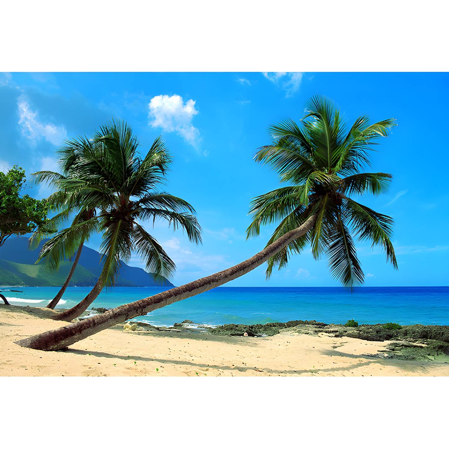 Imported image fe1f526f6148 1758708.jpg
