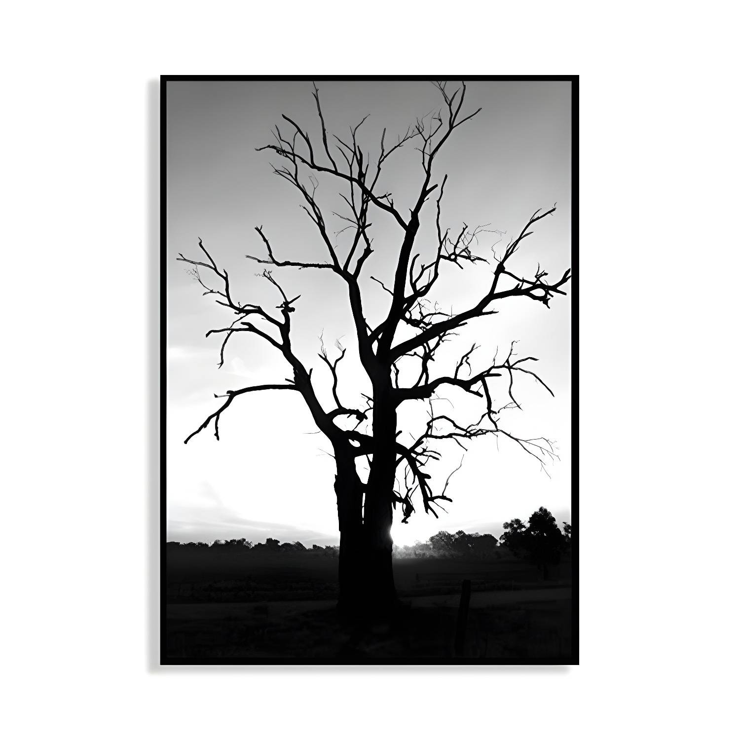 Imported image 6bbf3c0397ad 1760392.jpg