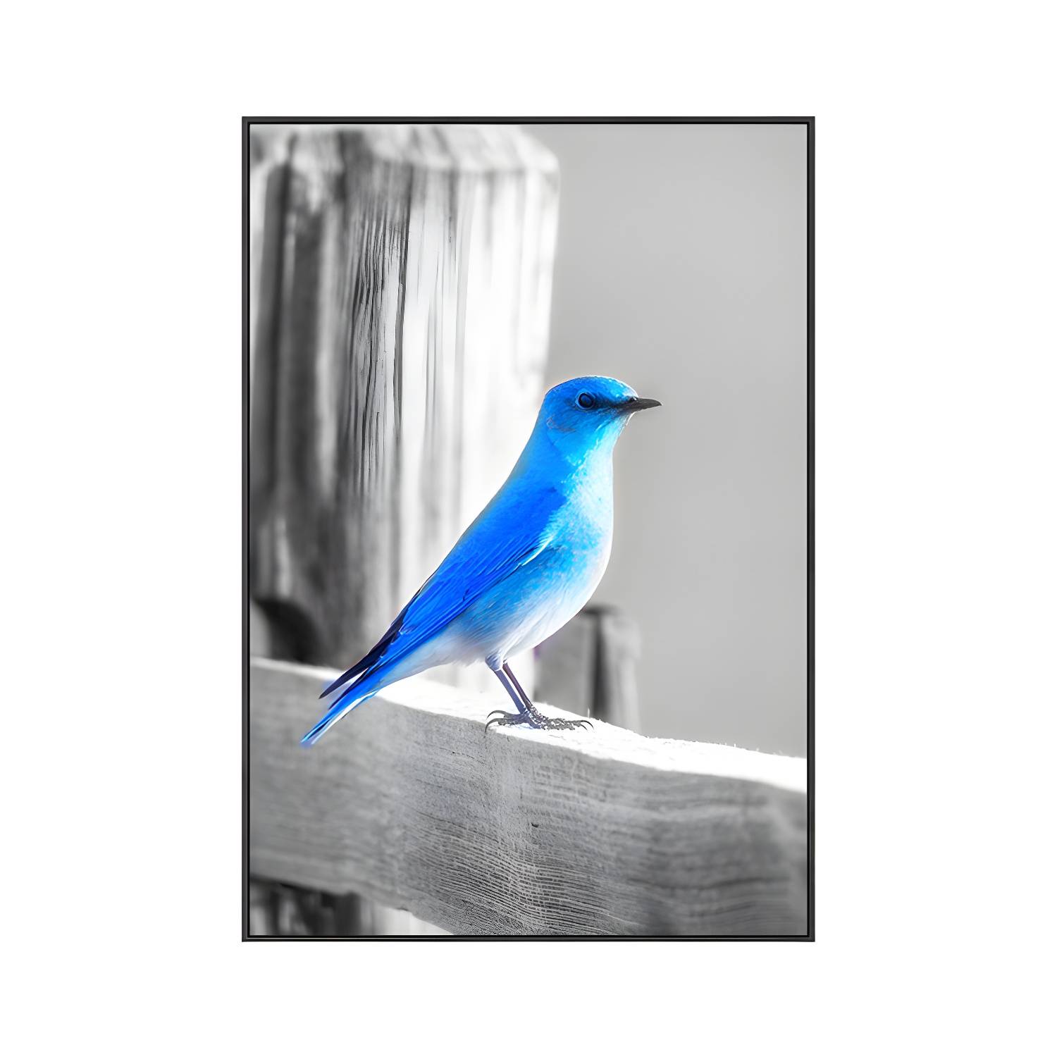 Imported image b68551ef451e 1760849.jpg