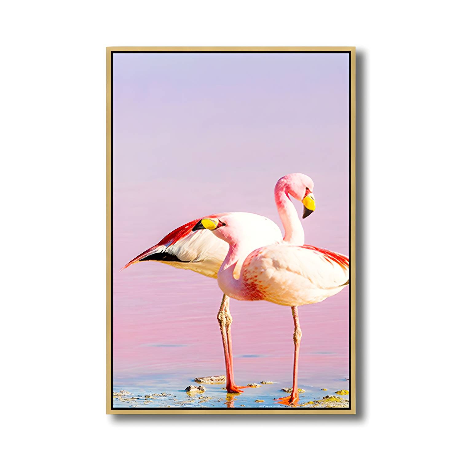Imported image 75aaf76d9985 1765315.jpg