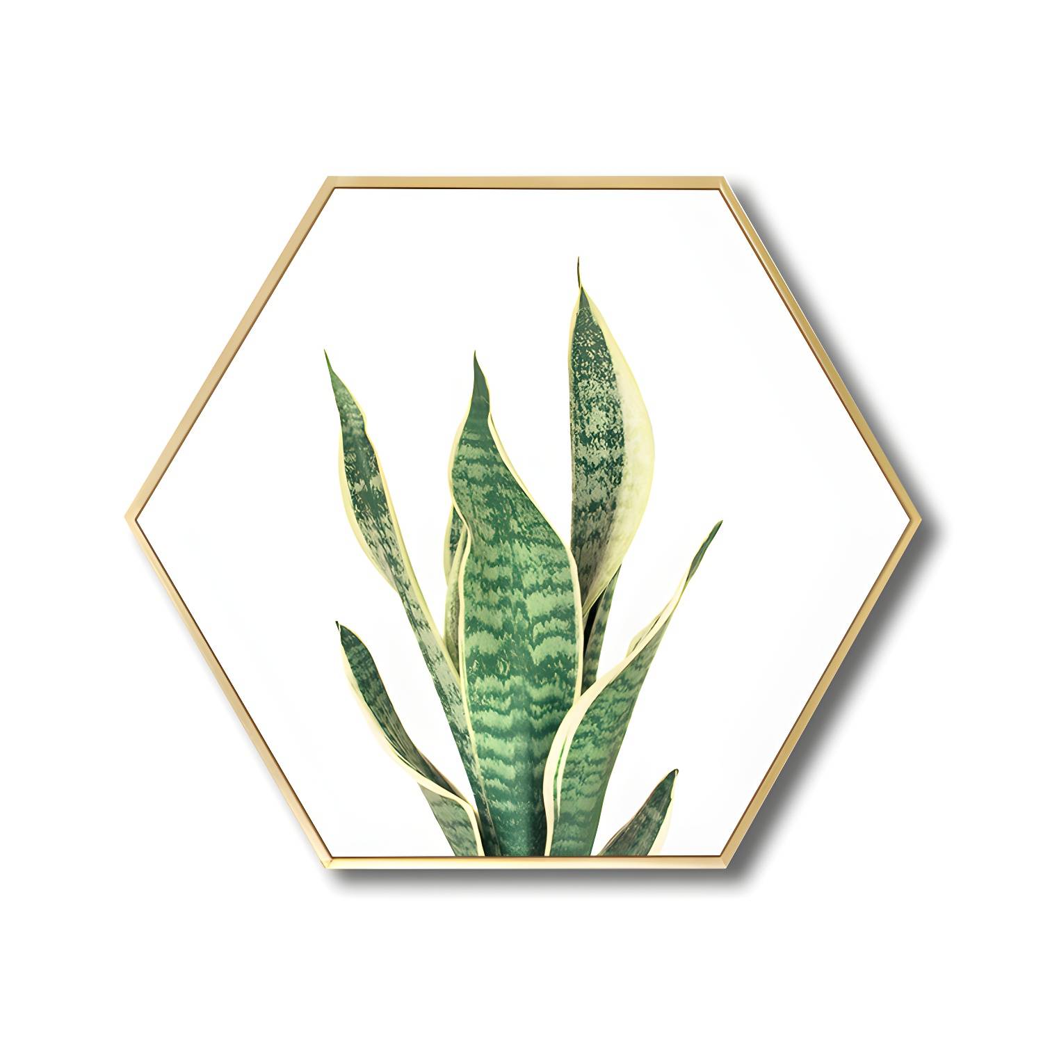 Imported image 1e3cdab049ea 1766070.jpg