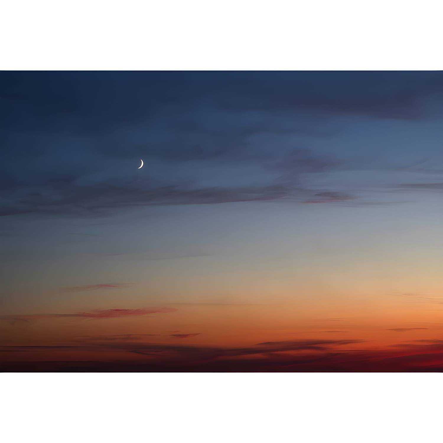 Imported image 53d39253247a 1784496.jpg