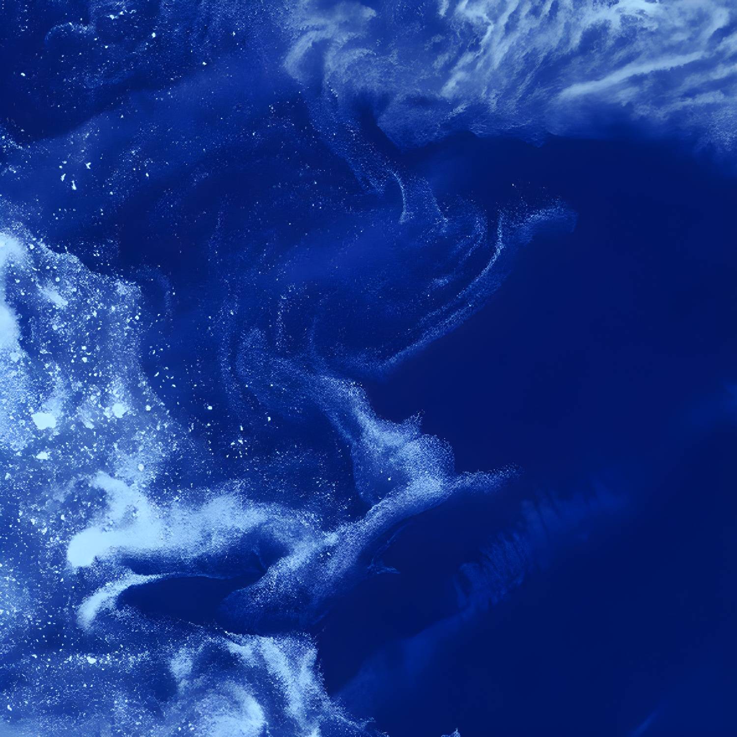 Imported image f292239aea03 1785540.jpg
