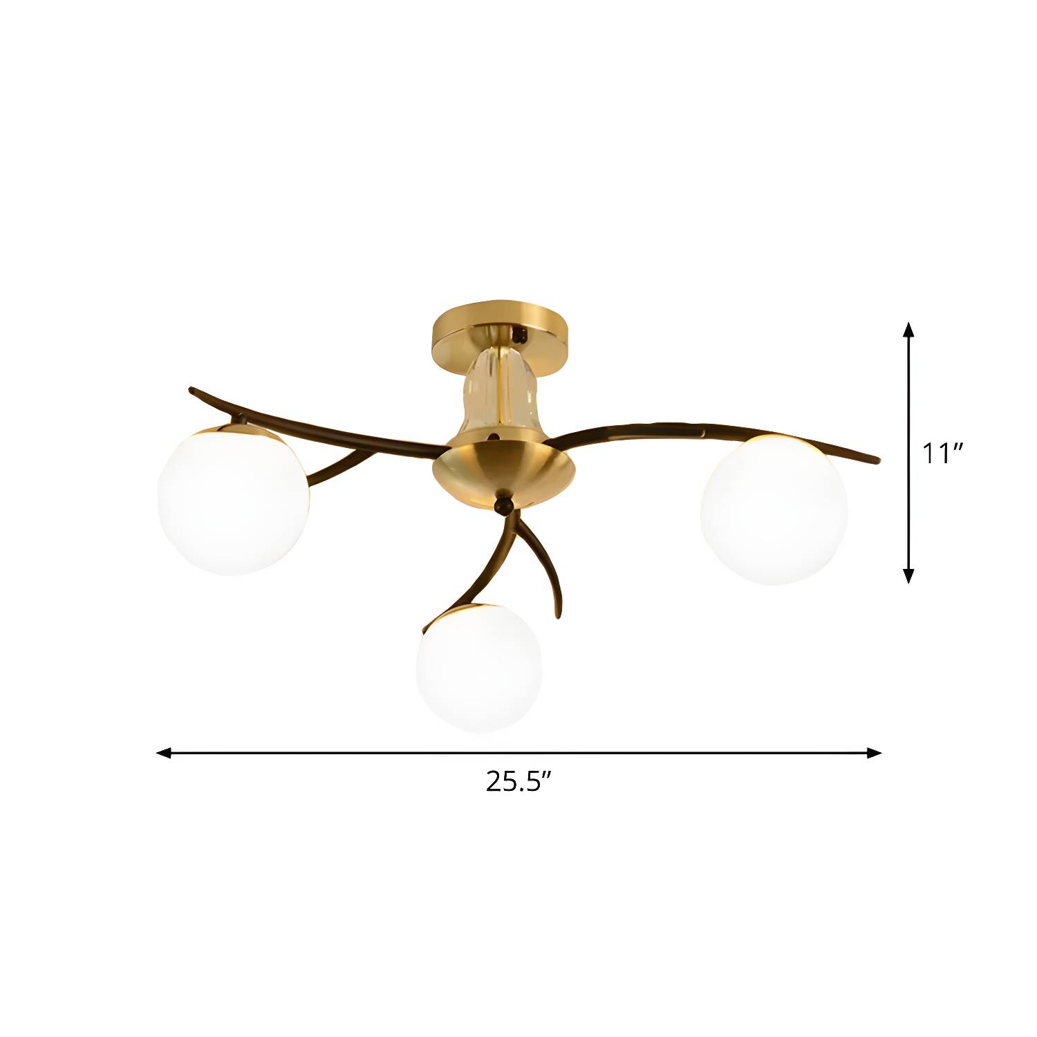 Imported image bea4b6b4ae98 1796175.jpg