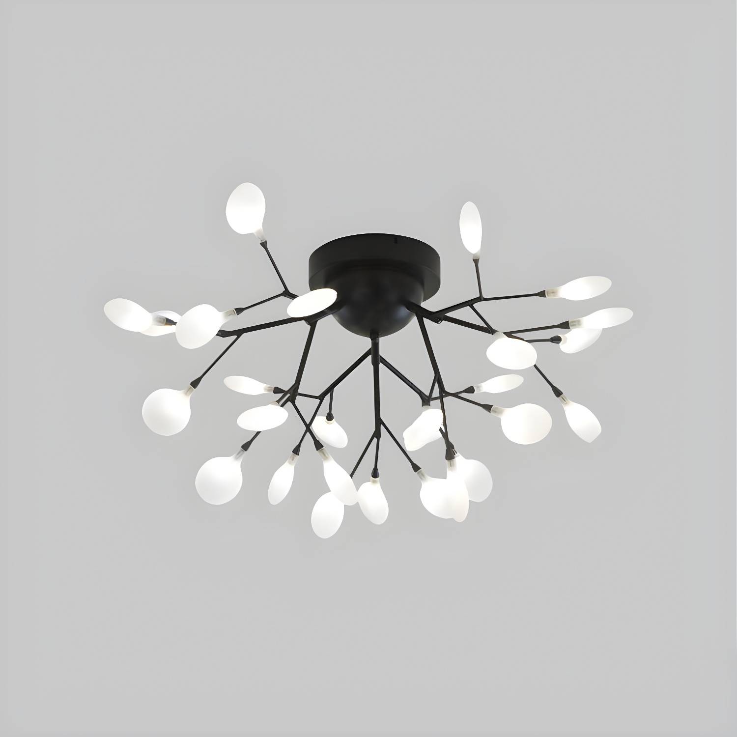 Imported image ef3c9de51c18 1796285.jpg