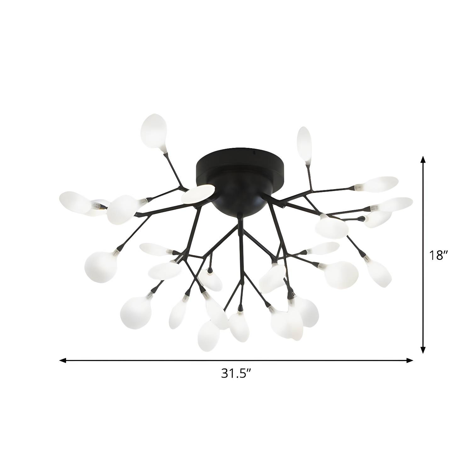 Imported image f74203a2d793 1796286.jpg