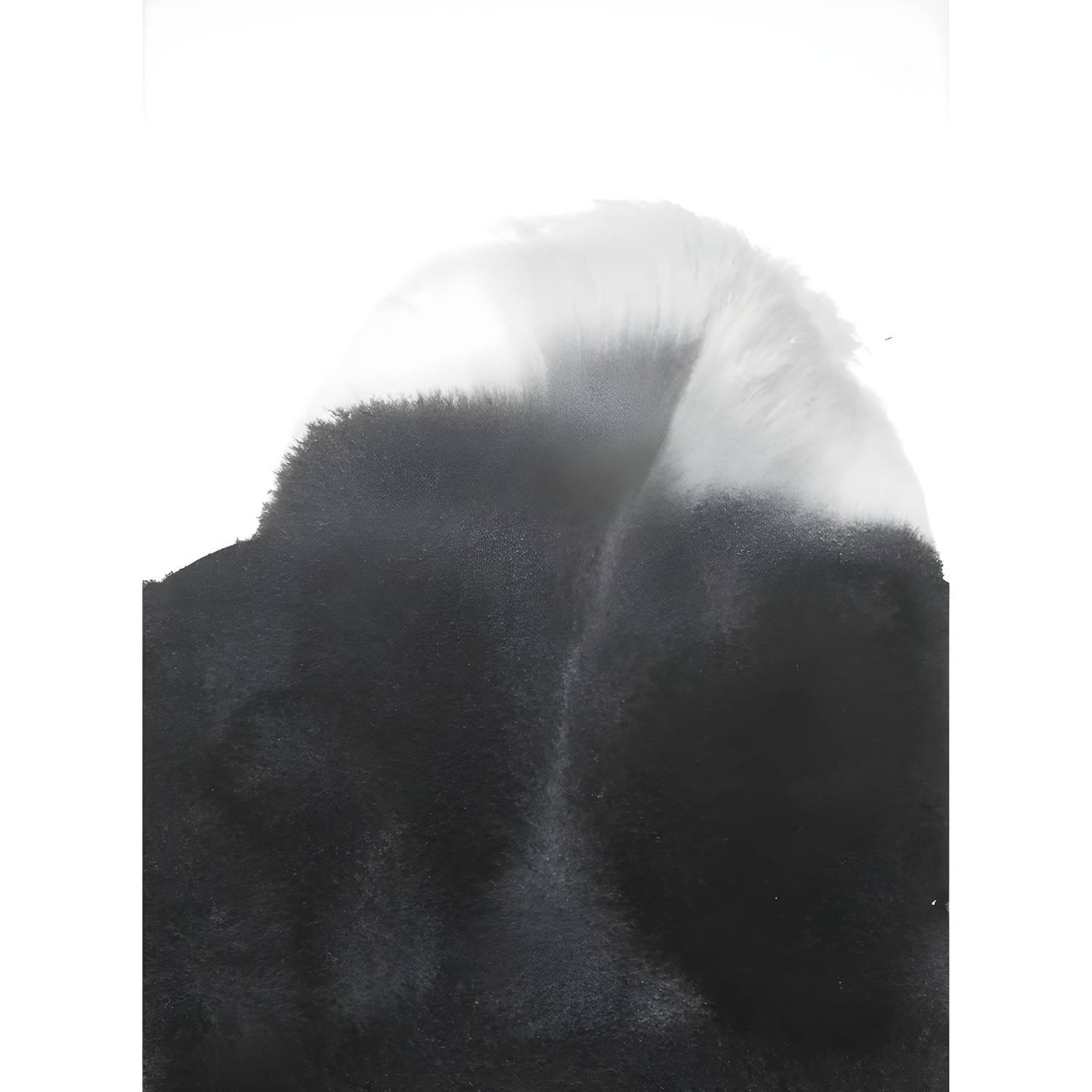 Imported image 7160ba2adfa0 1805707.jpg