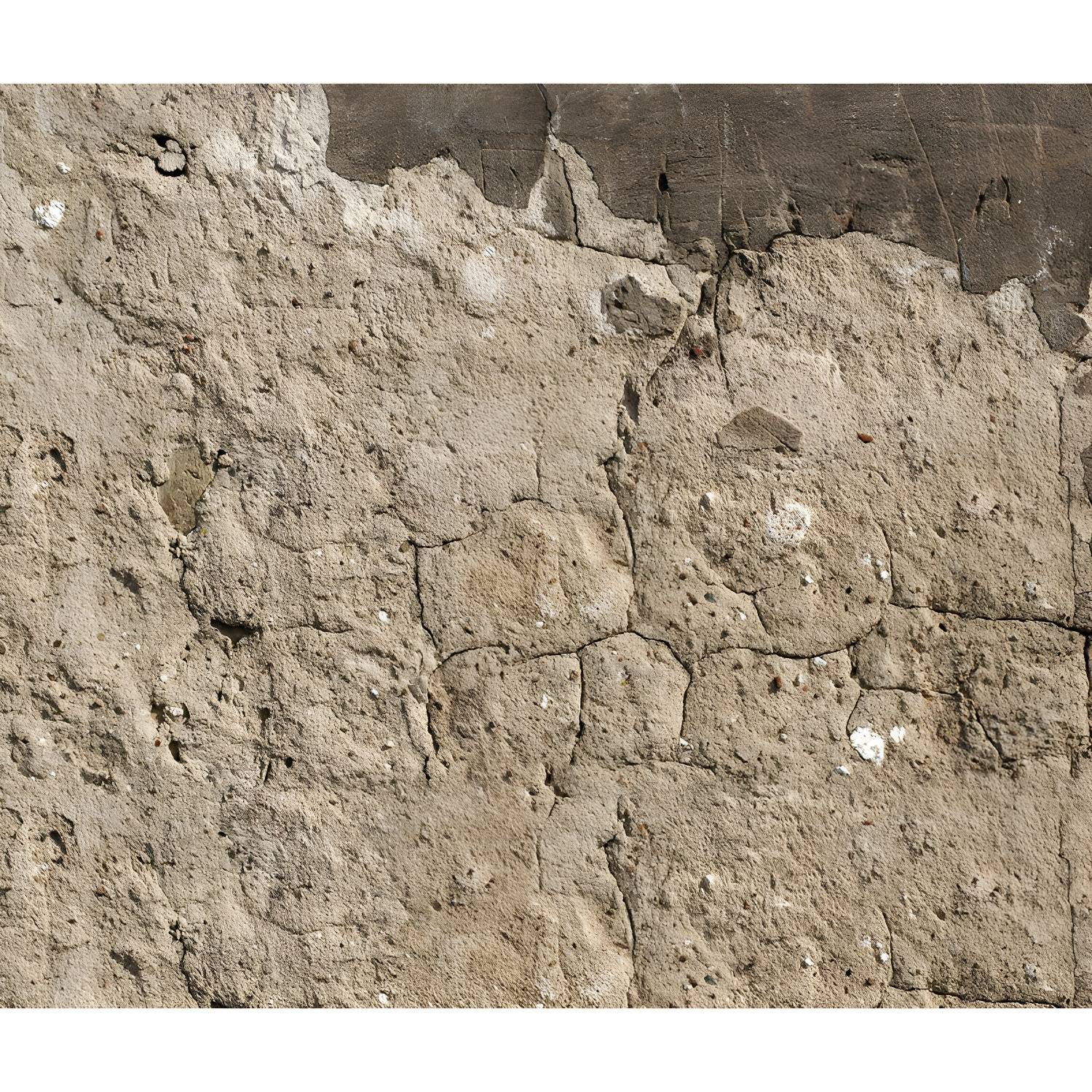 Imported image 7b04a418640e 1805937.jpg