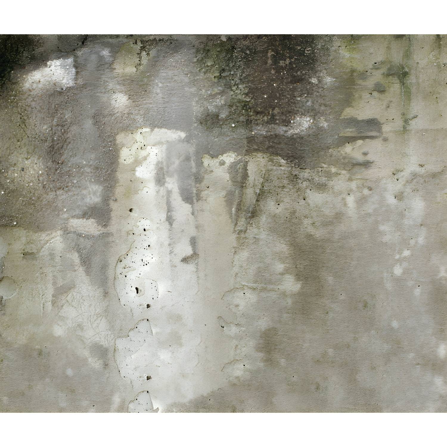 Imported image 90419bf047e5 1805947.jpg