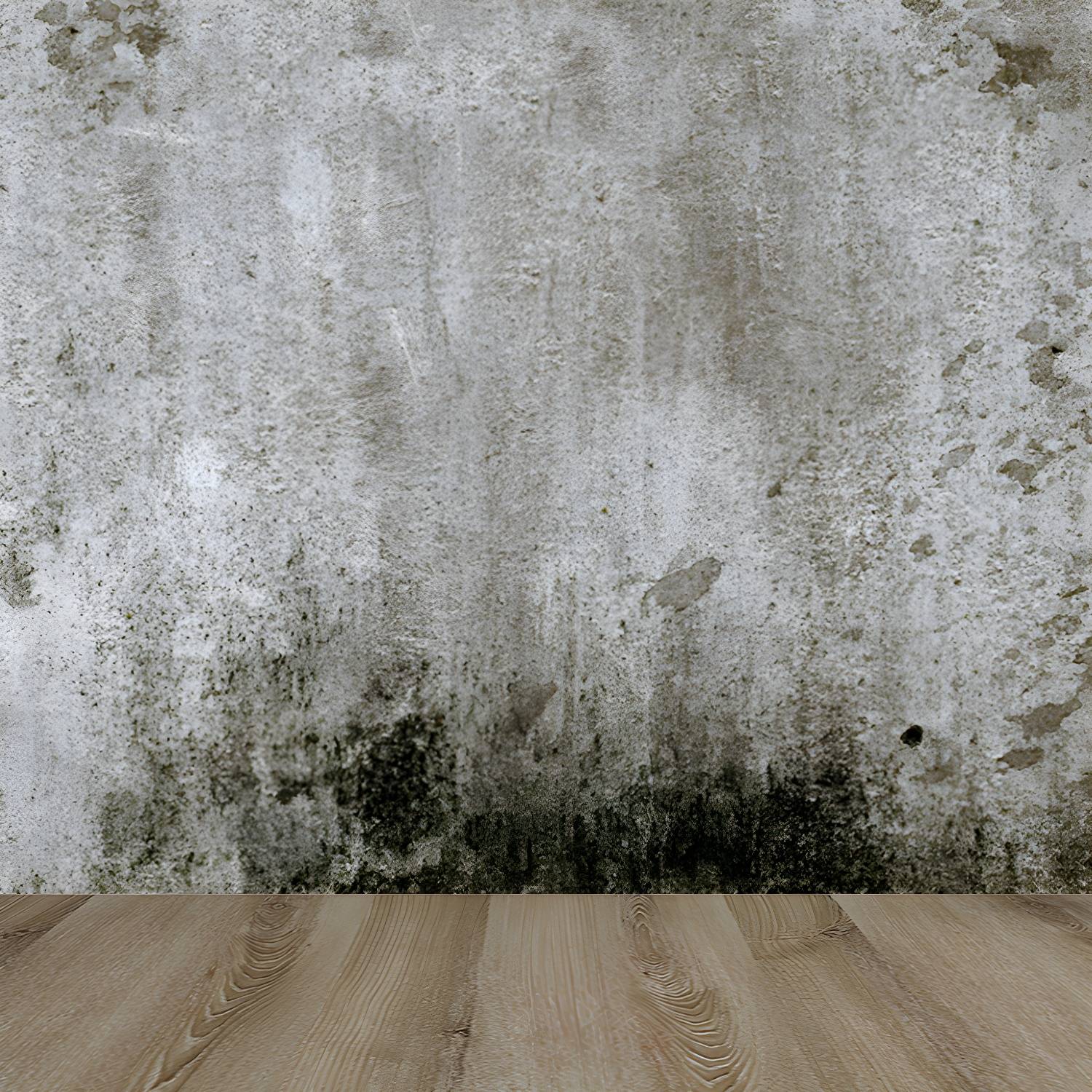 Imported image 6a9595a125c9 1805990.jpg