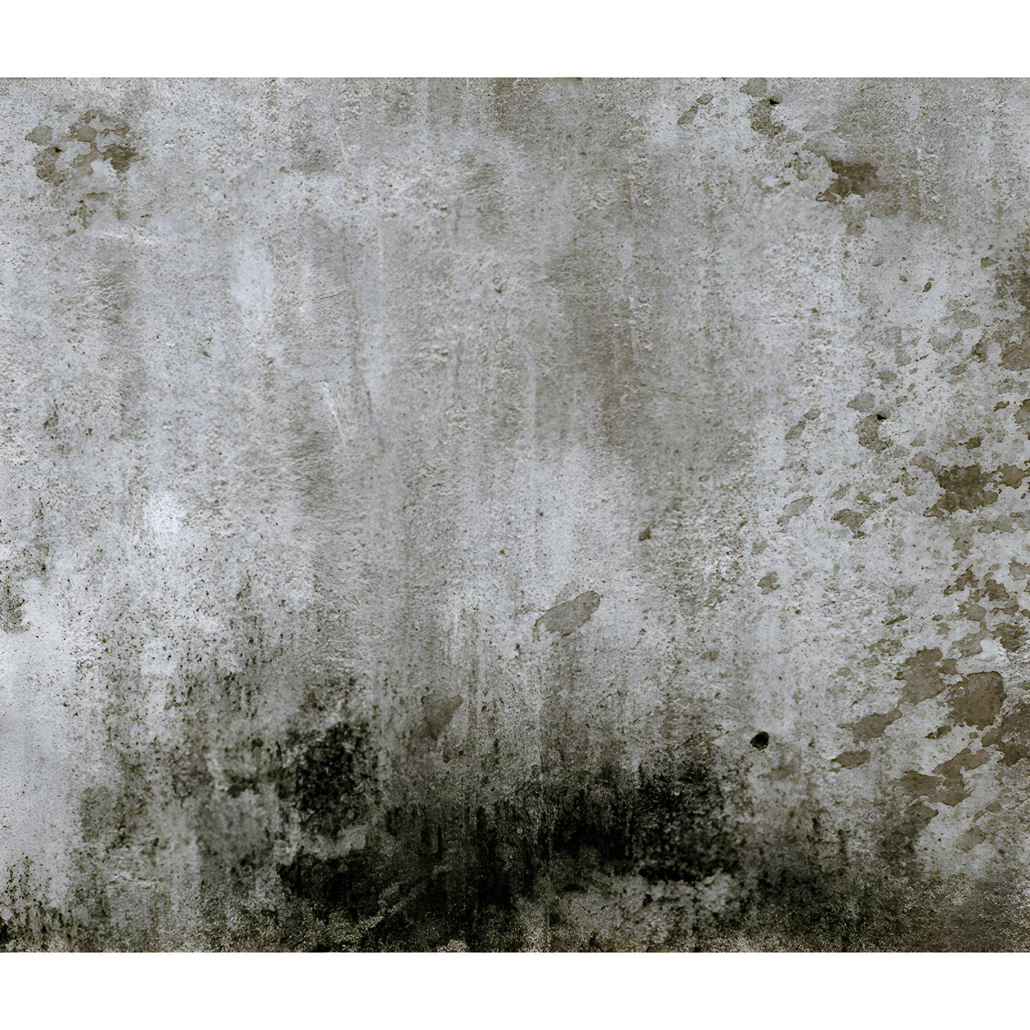 Imported image 2cf6dd78ebf2 1805992.jpg