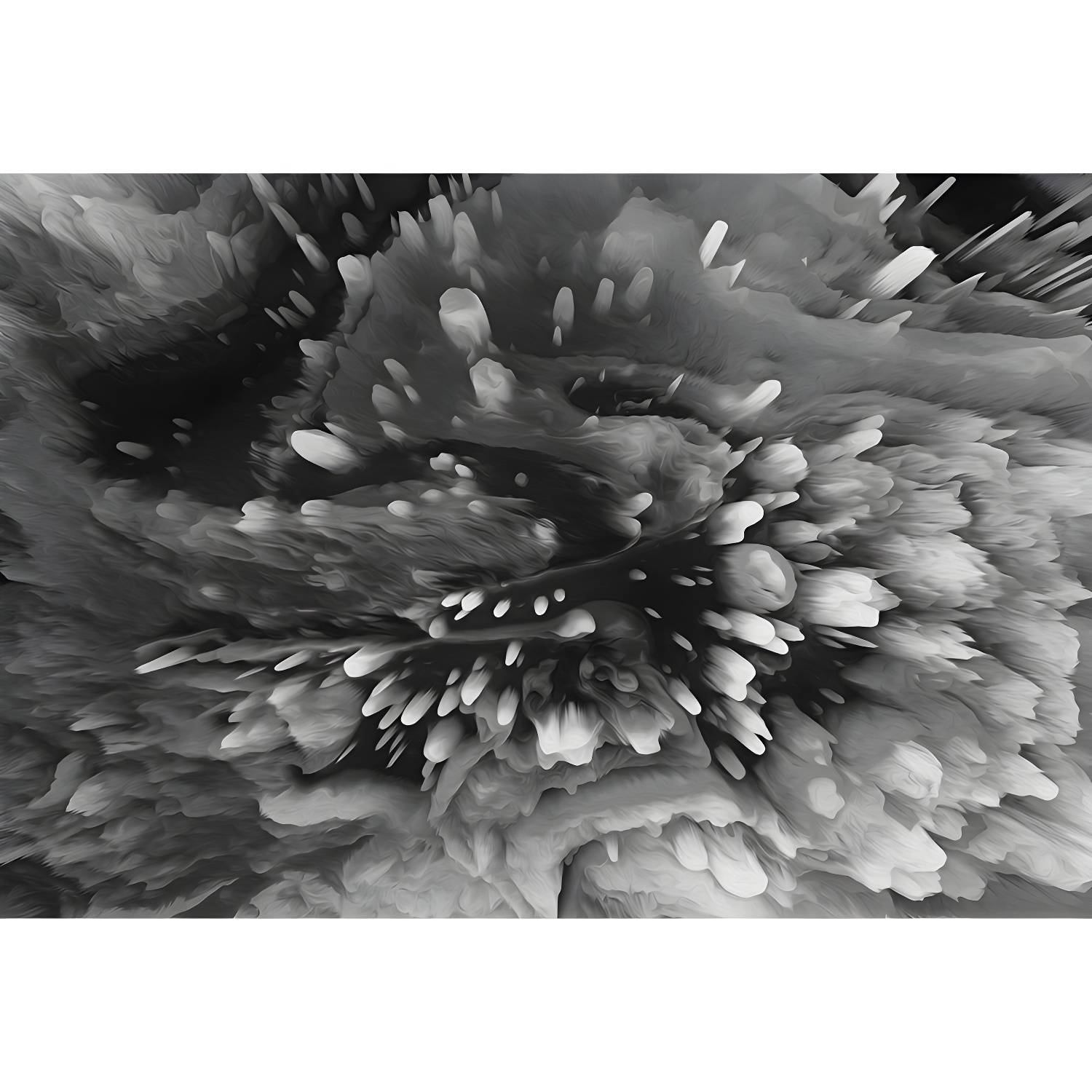 Imported image 4ae52dfe84e5 1806841.jpg