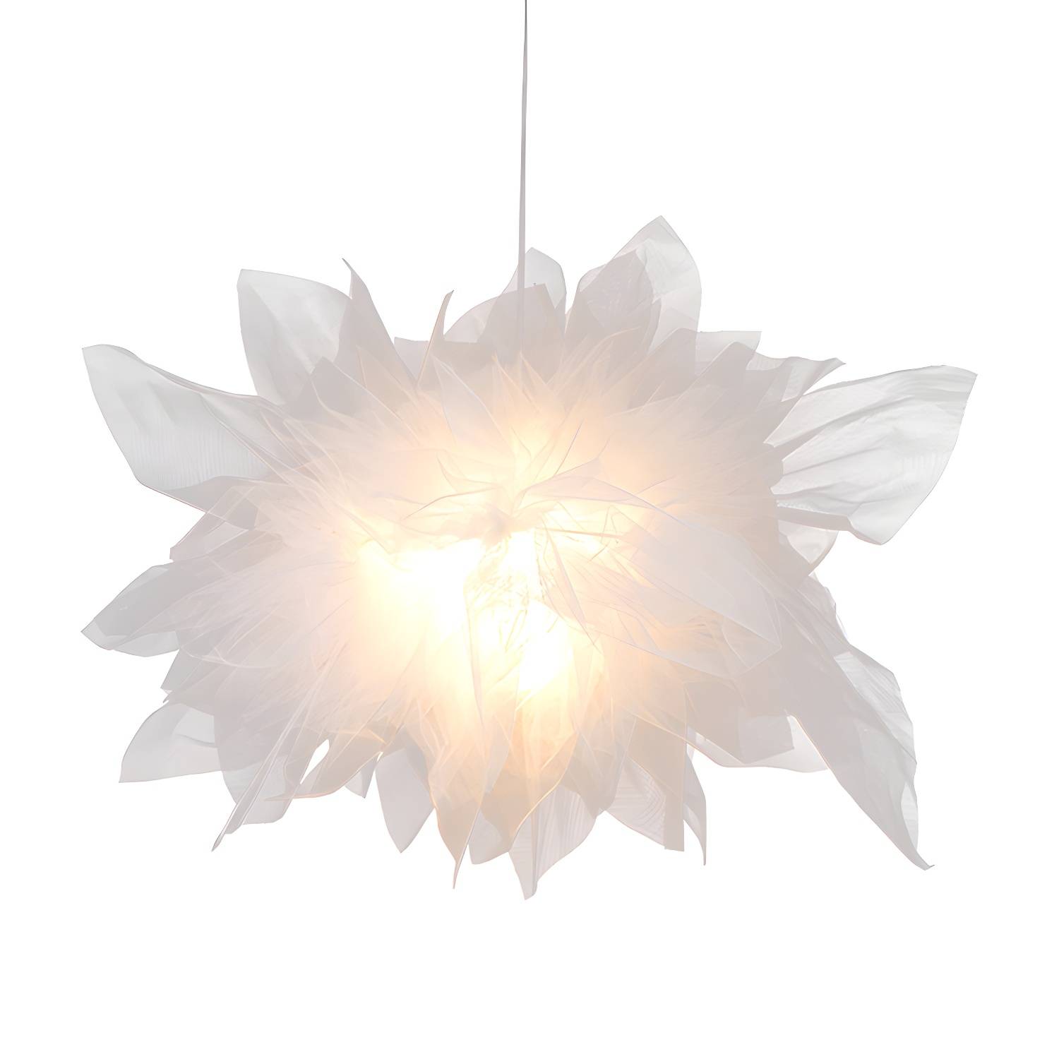 Imported image c8d3cbeddac1 184704.jpg