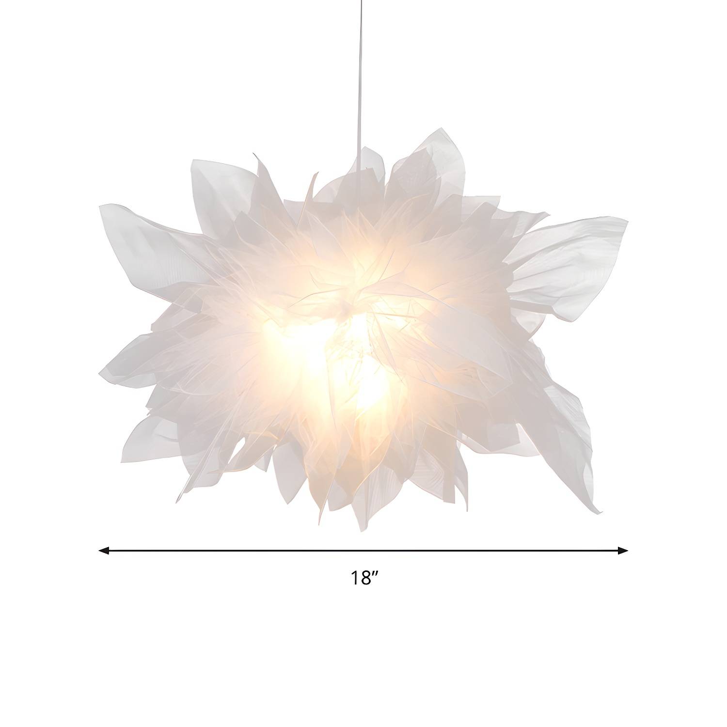 Imported image 607e003e8ce3 184706.jpg