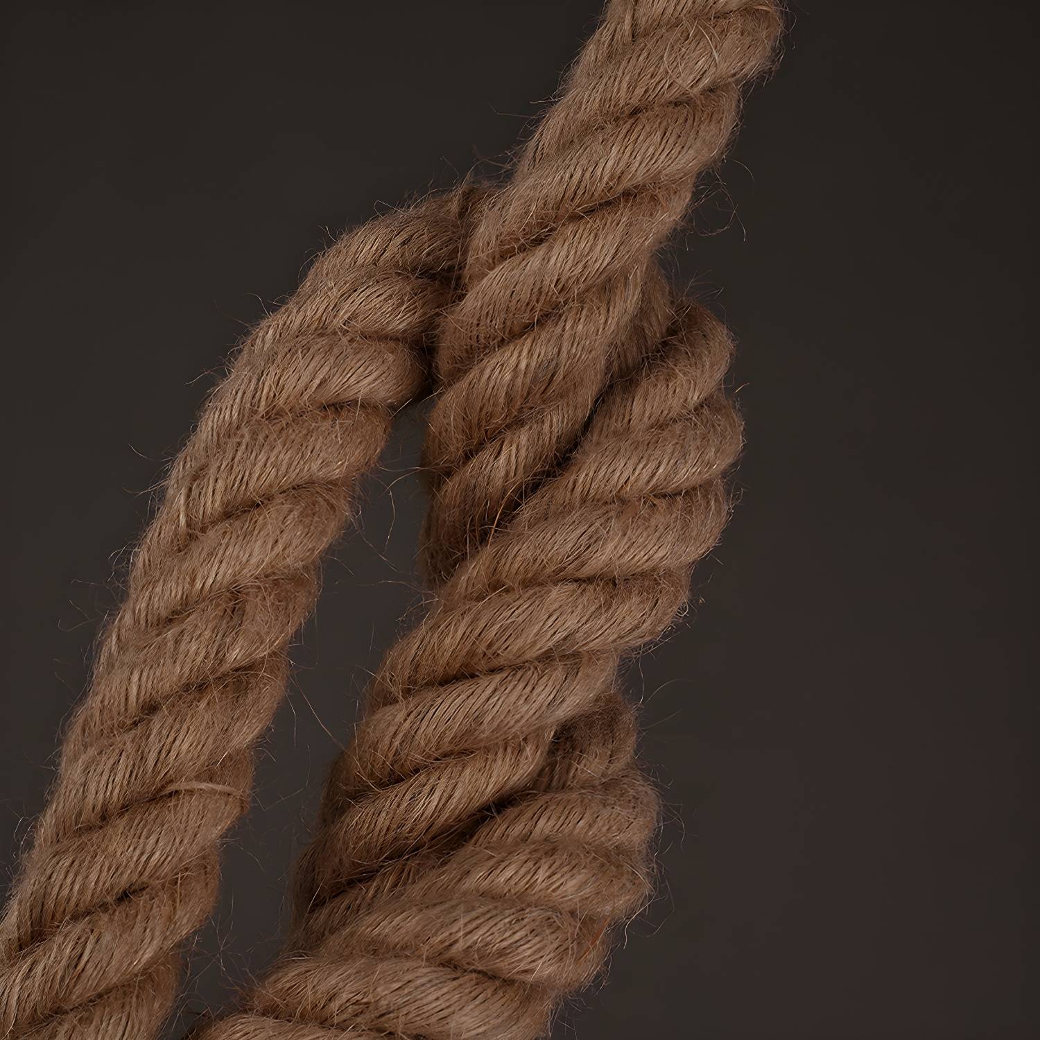 Imported image 00cbdc536a7c 185391.jpg