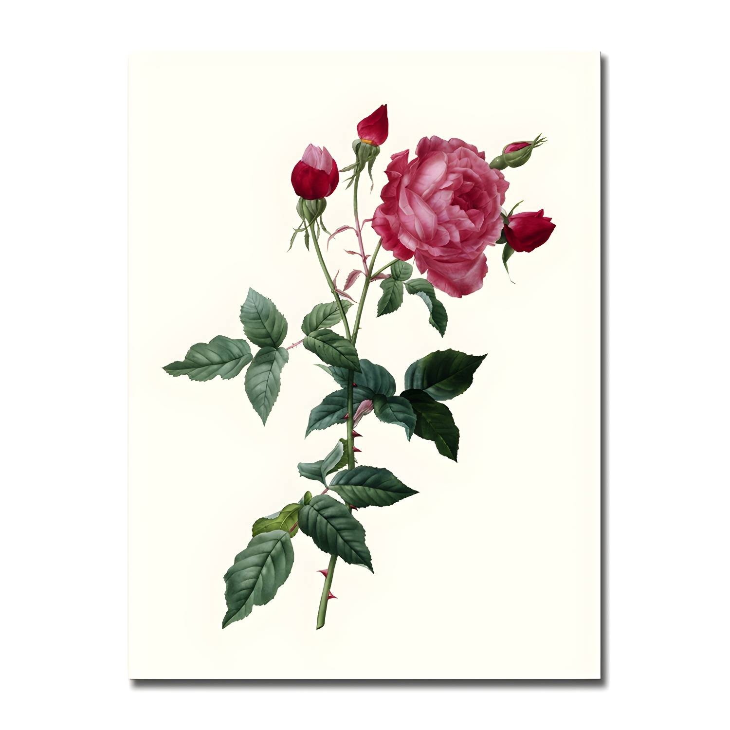 Imported image f810a6ea8666 1860035.jpg